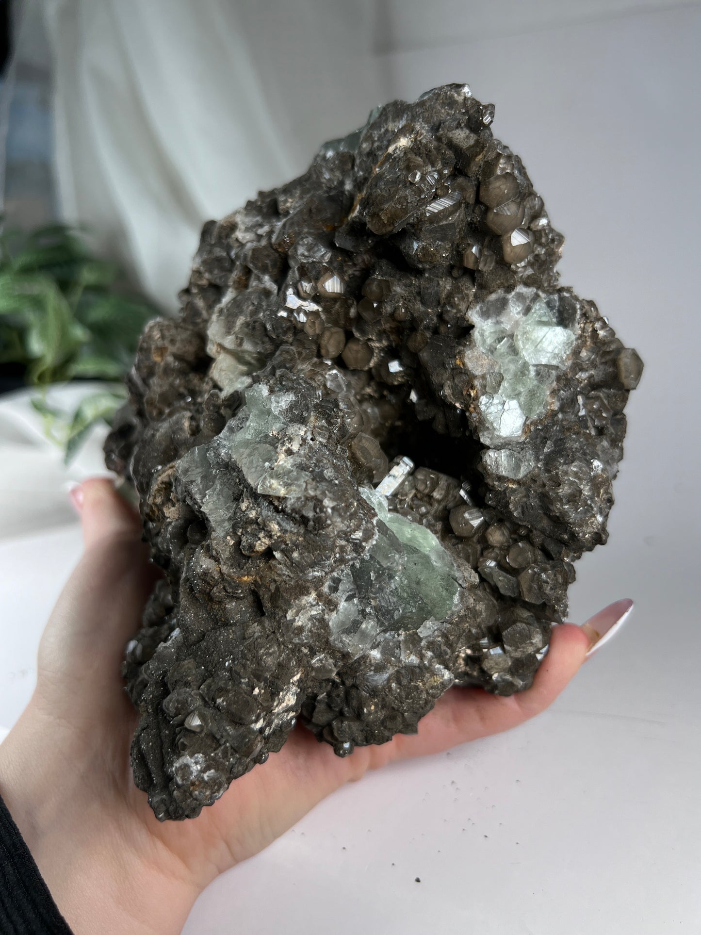 Black Quartz W Fluorite Cluster *RARE*