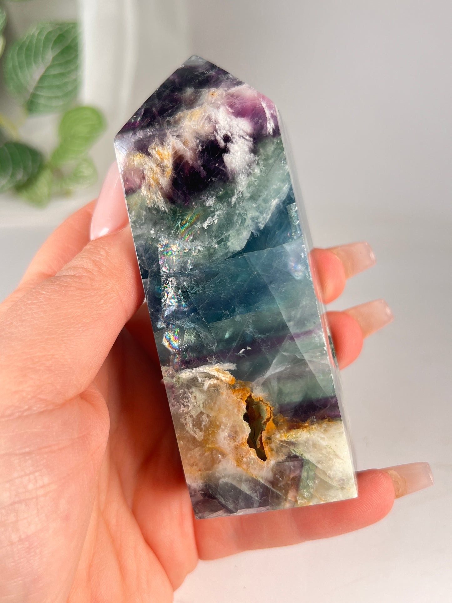 Snow flake fluorite 4' *RARE*