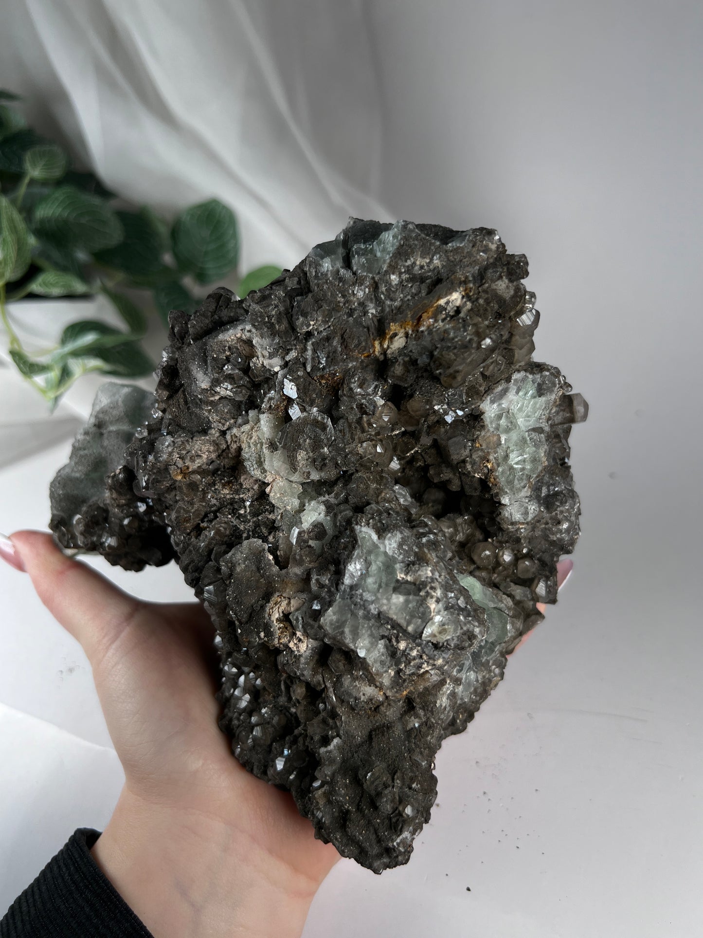 Black Quartz W Fluorite Cluster *RARE*