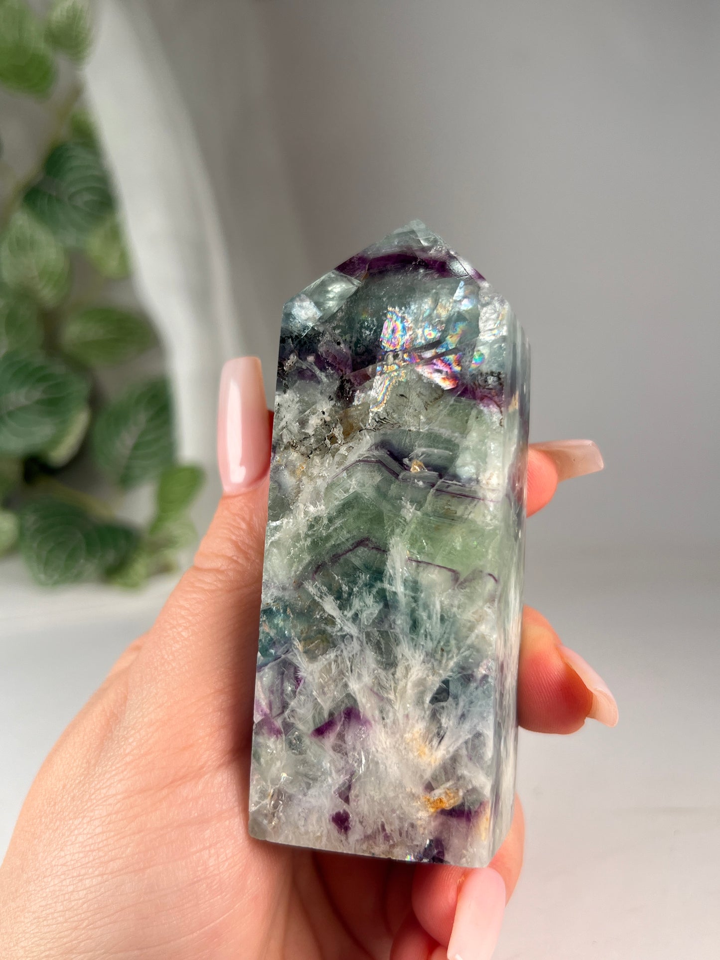 Snow flake fluorite 3.75" *RARE*