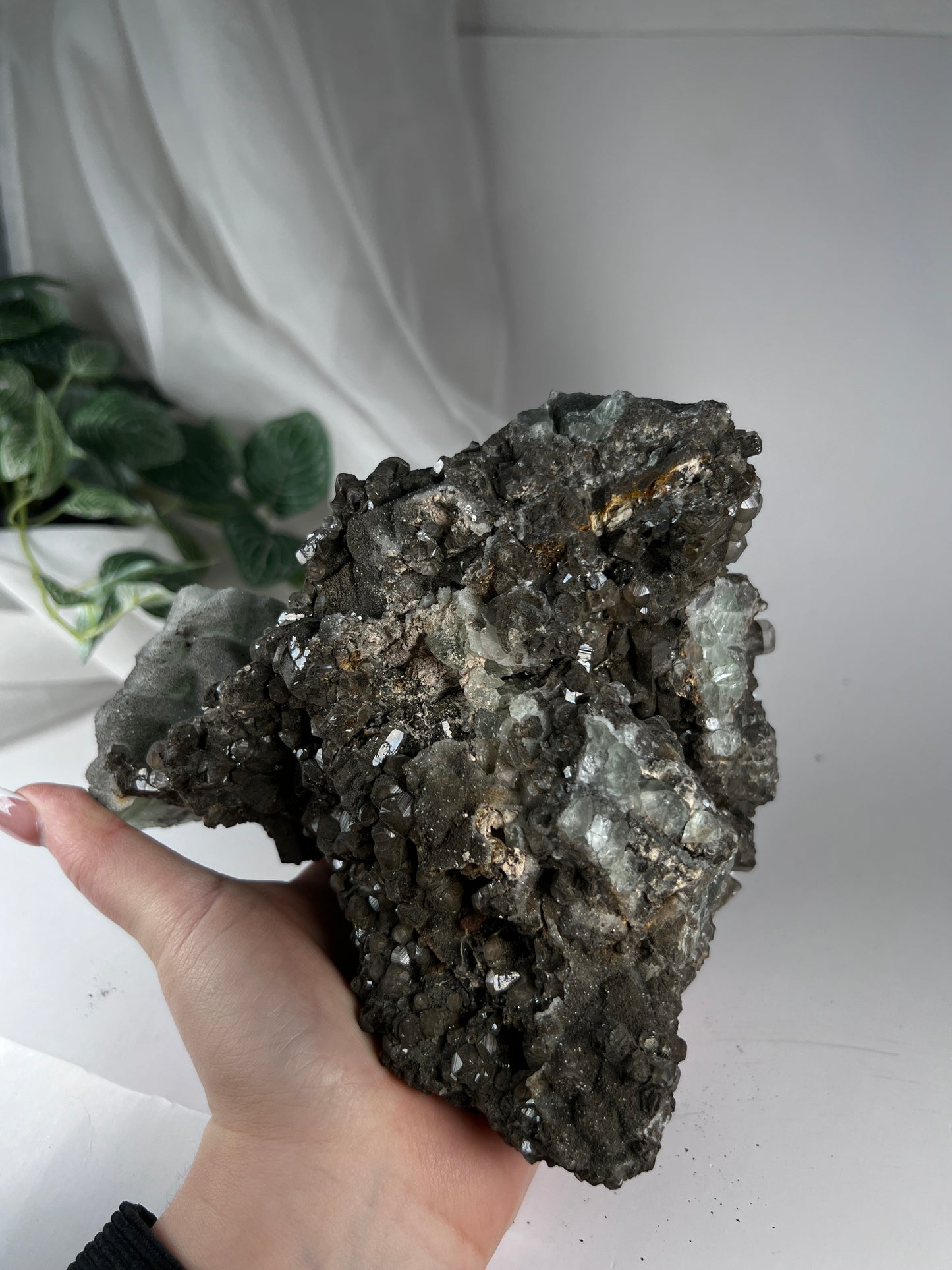 Black Quartz W Fluorite Cluster *RARE*