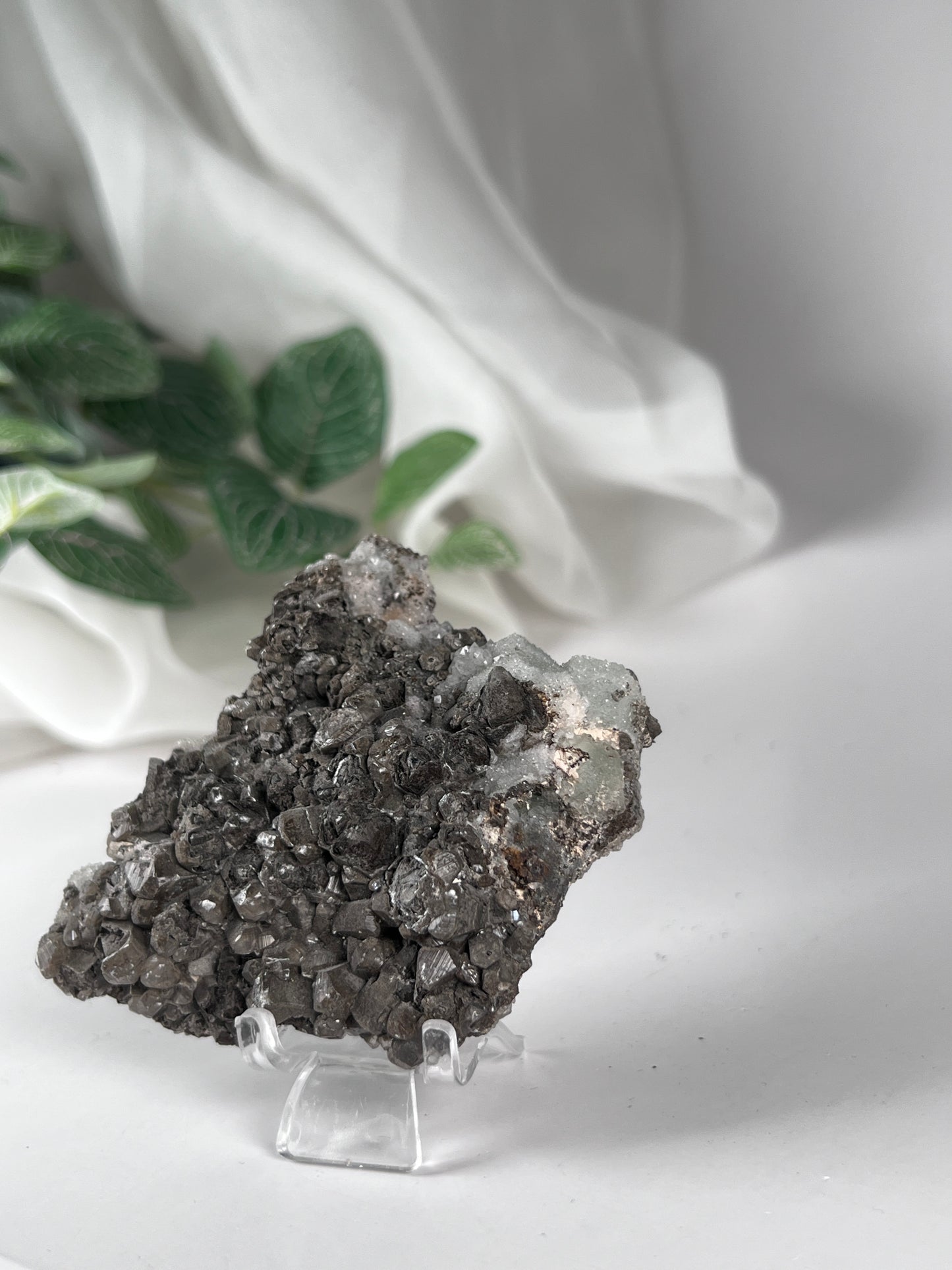 Black Quartz with Fluorite Cluster *RARE*