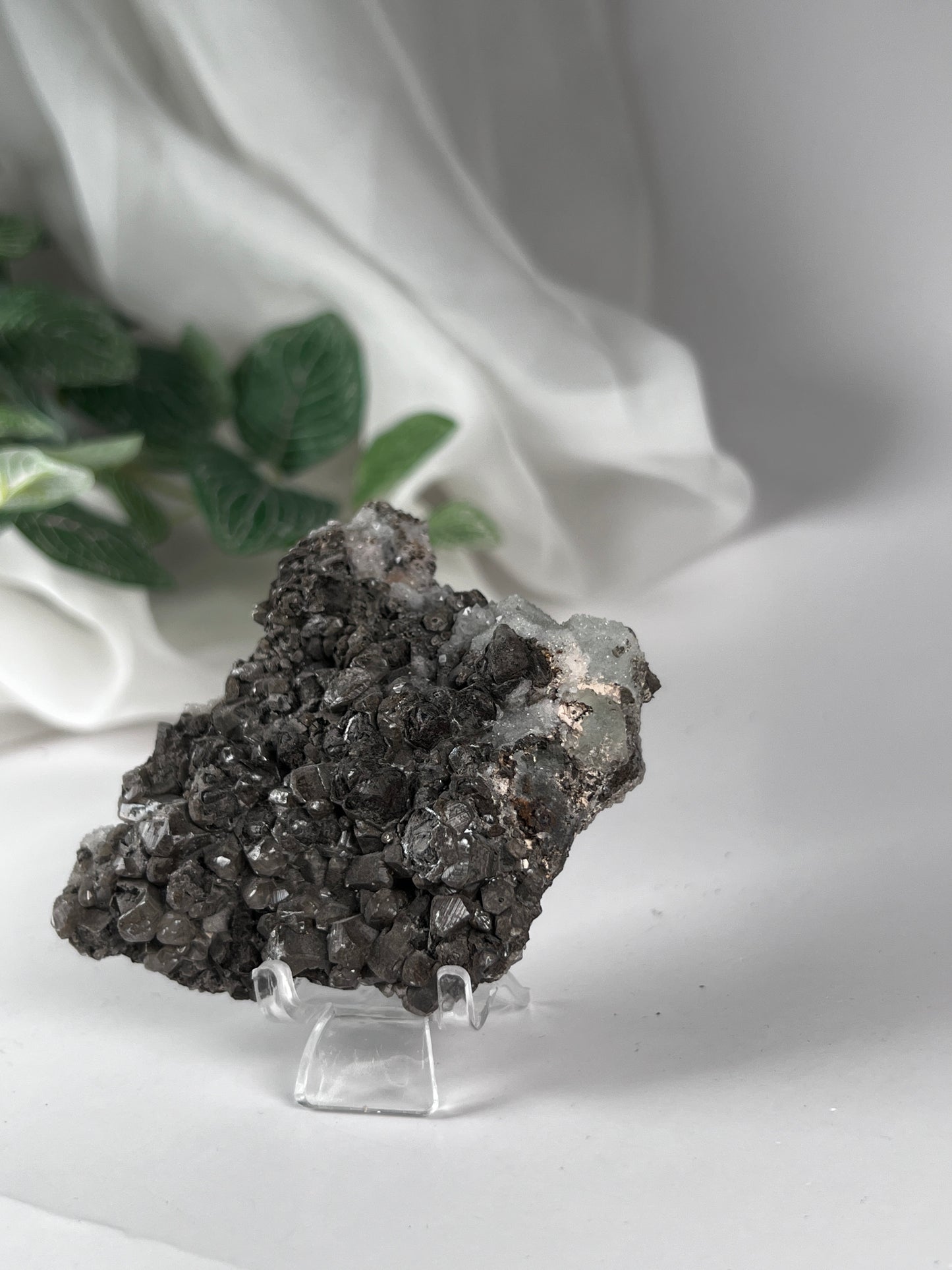 Black Quartz with Fluorite Cluster *RARE*