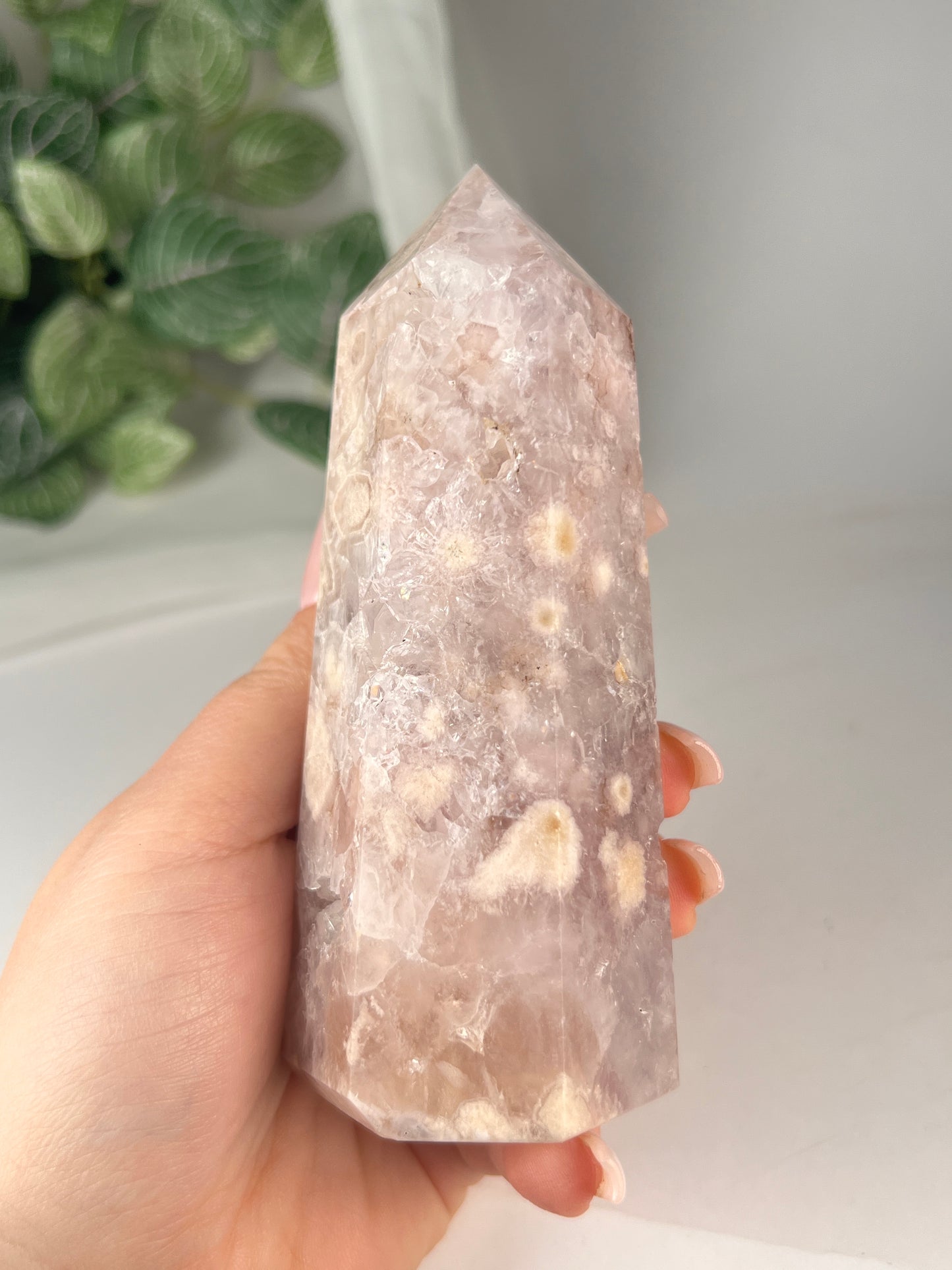 Flower Agate Amethyst Point *RARE*