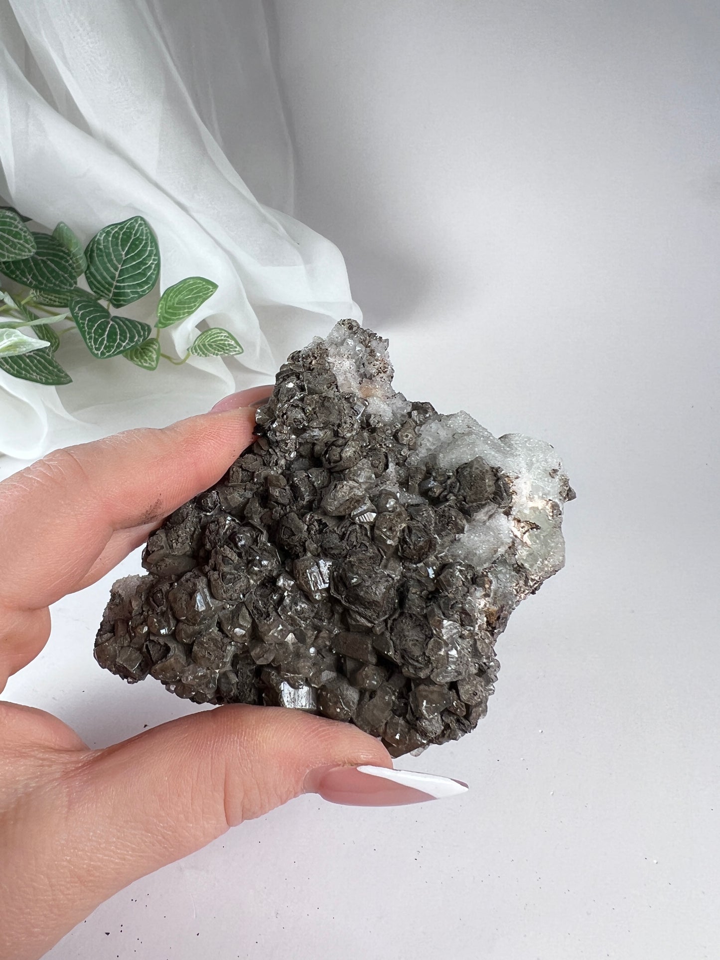 Black Quartz with Fluorite Cluster *RARE*