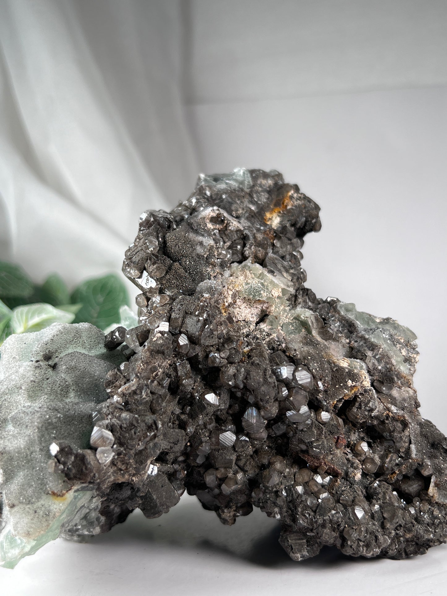 Black Quartz W Fluorite Cluster *RARE*