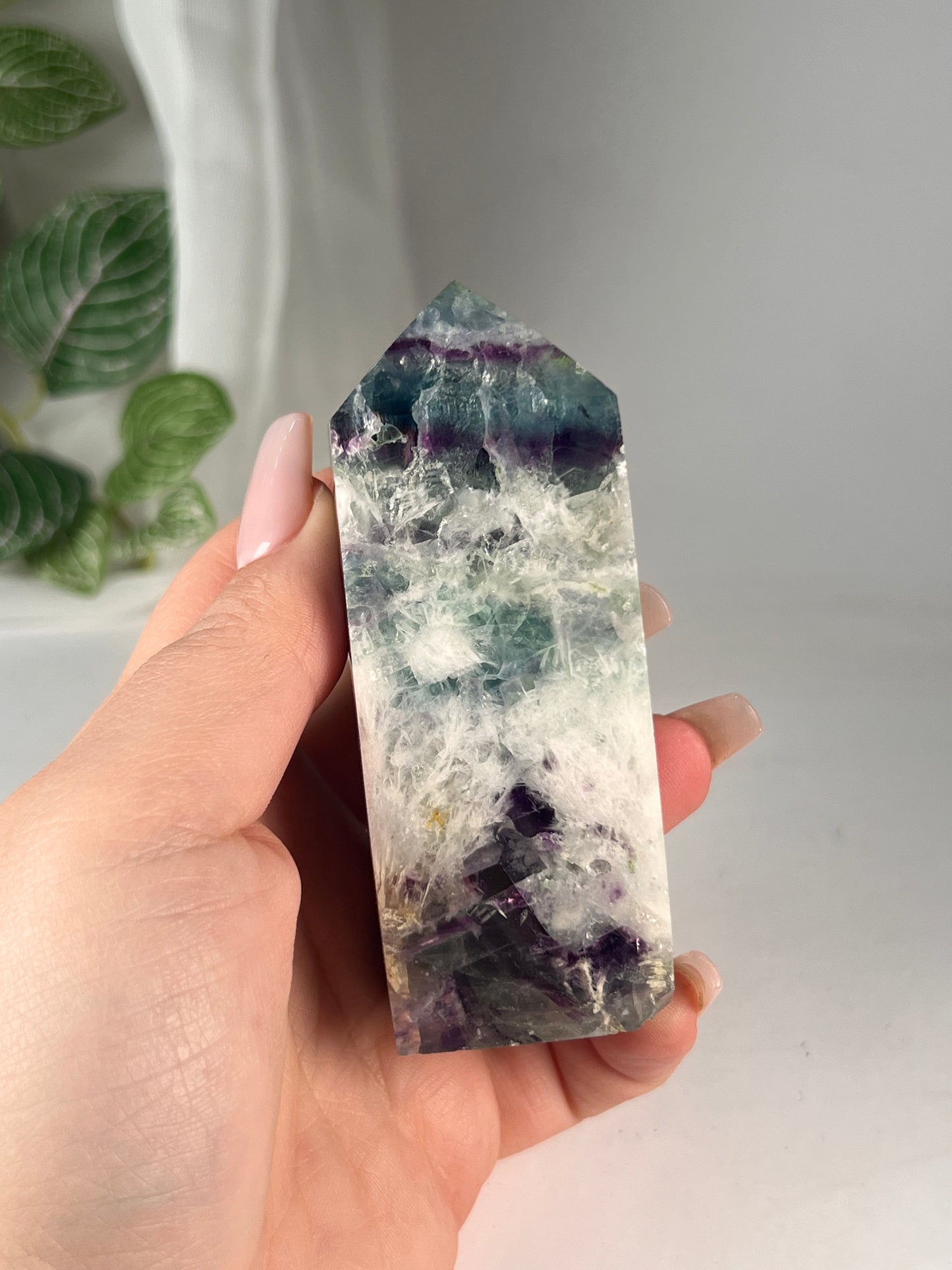 Snow flake fluorite 3.75" *RARE*