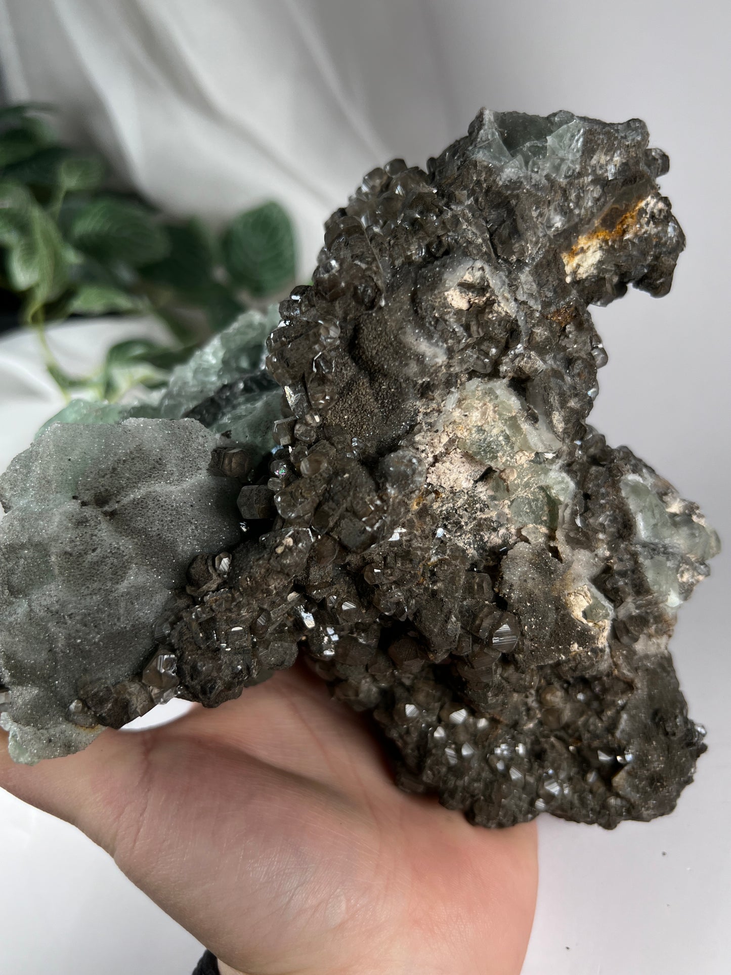 Black Quartz W Fluorite Cluster *RARE*