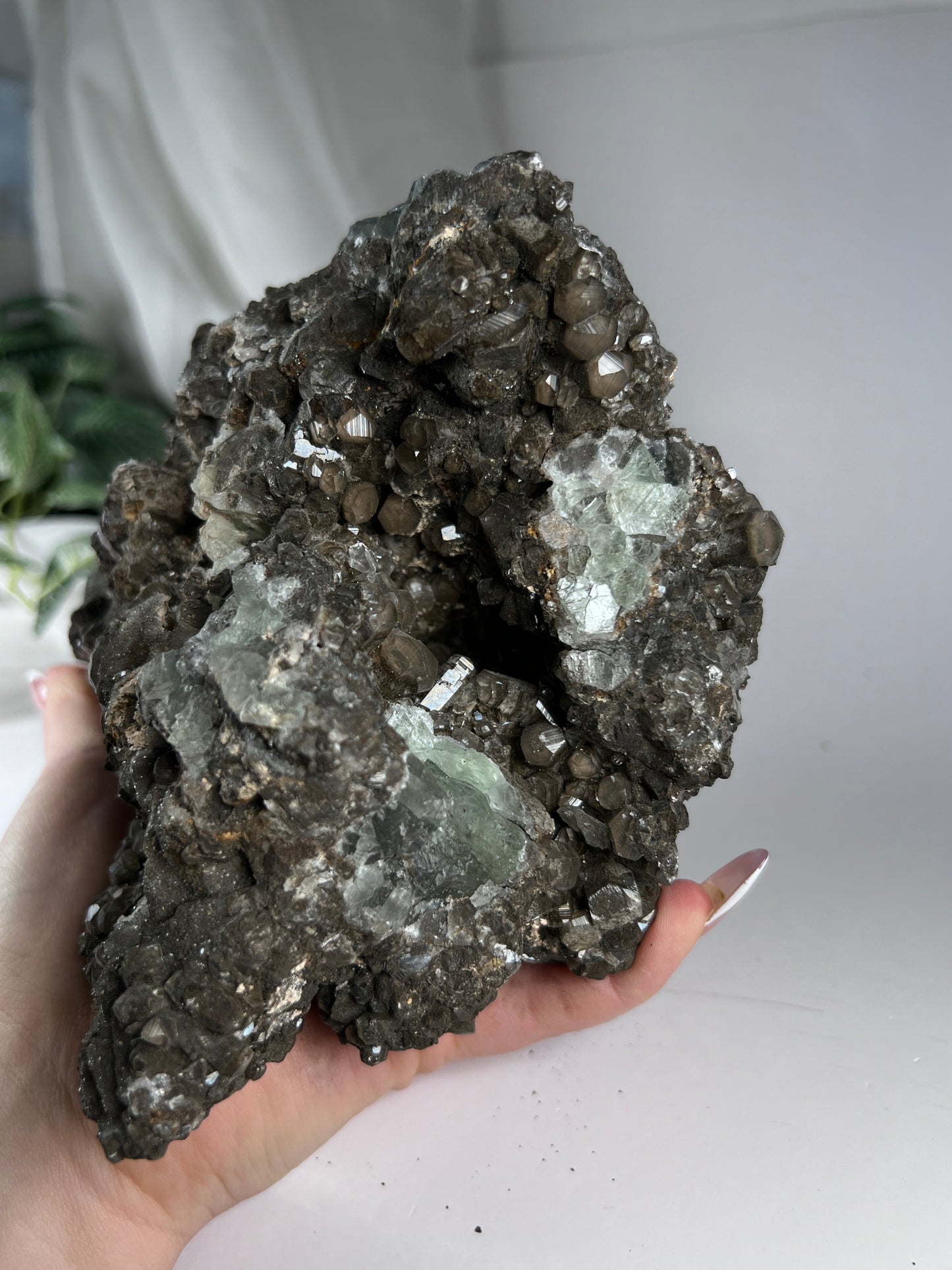 Black Quartz W Fluorite Cluster *RARE*