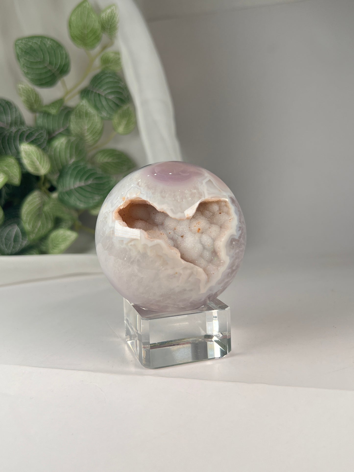 Black flower agate sphere druzy *RARE*