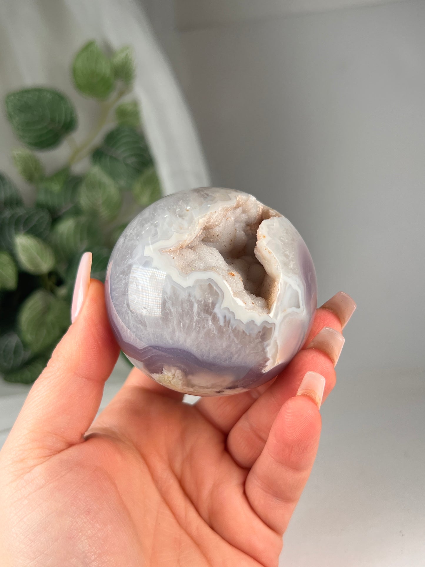 Black flower agate sphere druzy *RARE*