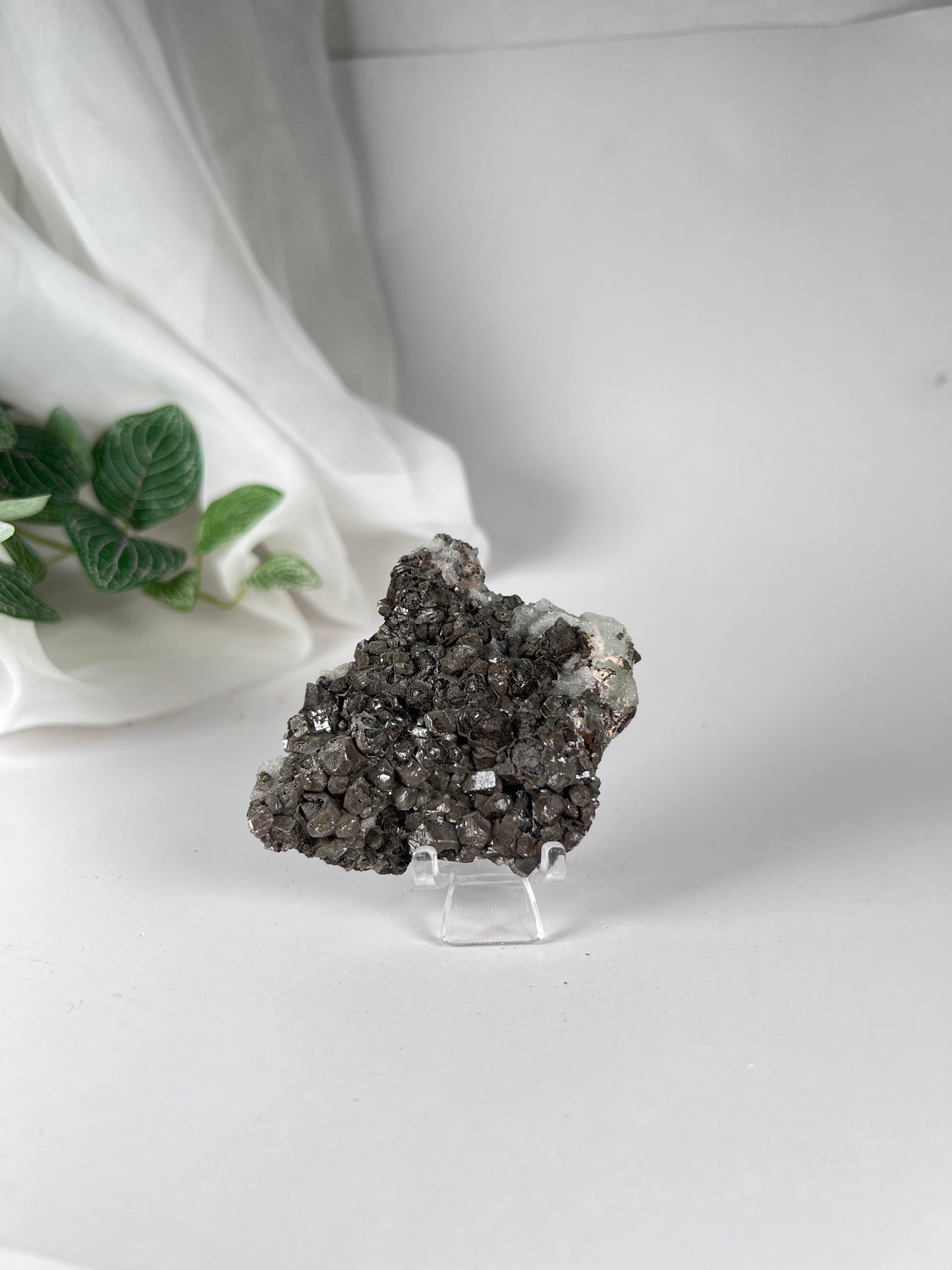 Black Quartz with Fluorite Cluster *RARE*