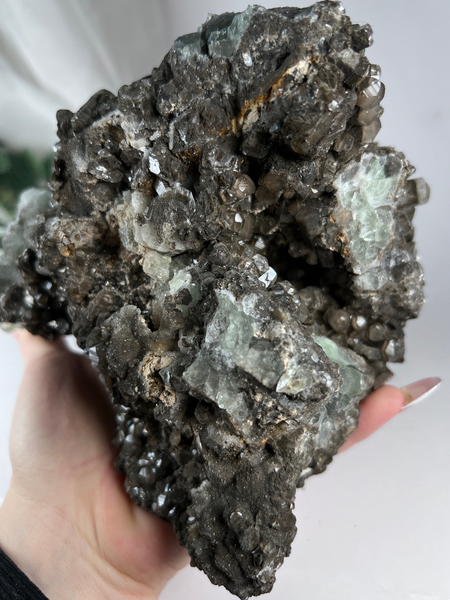 Black Quartz W Fluorite Cluster *RARE*