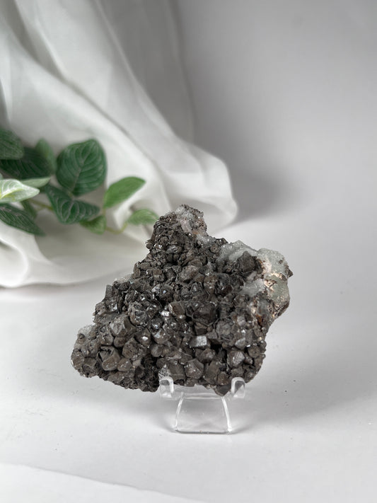Black Quartz with Fluorite Cluster *RARE*