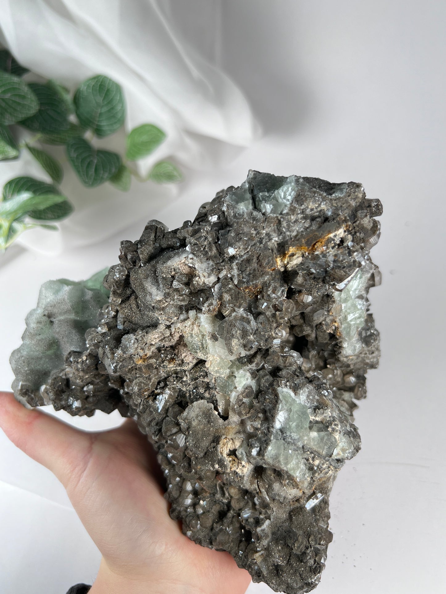 Black Quartz W Fluorite Cluster *RARE*