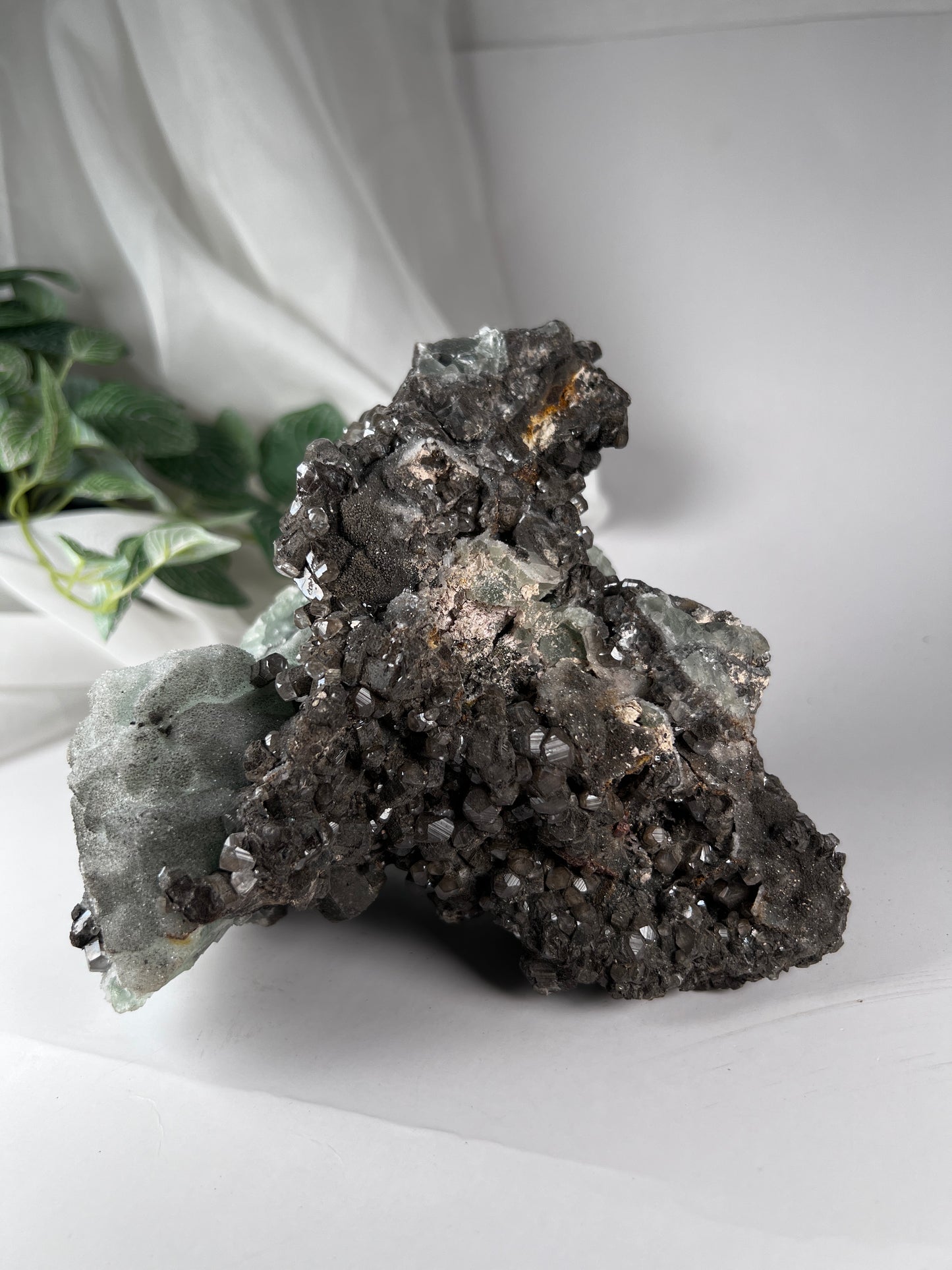 Black Quartz W Fluorite Cluster *RARE*