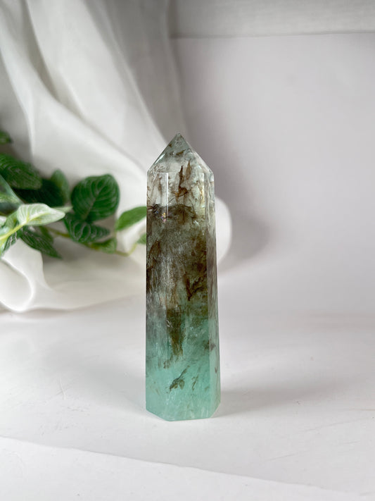 Dendritic Green Fluorite Point *RARE*