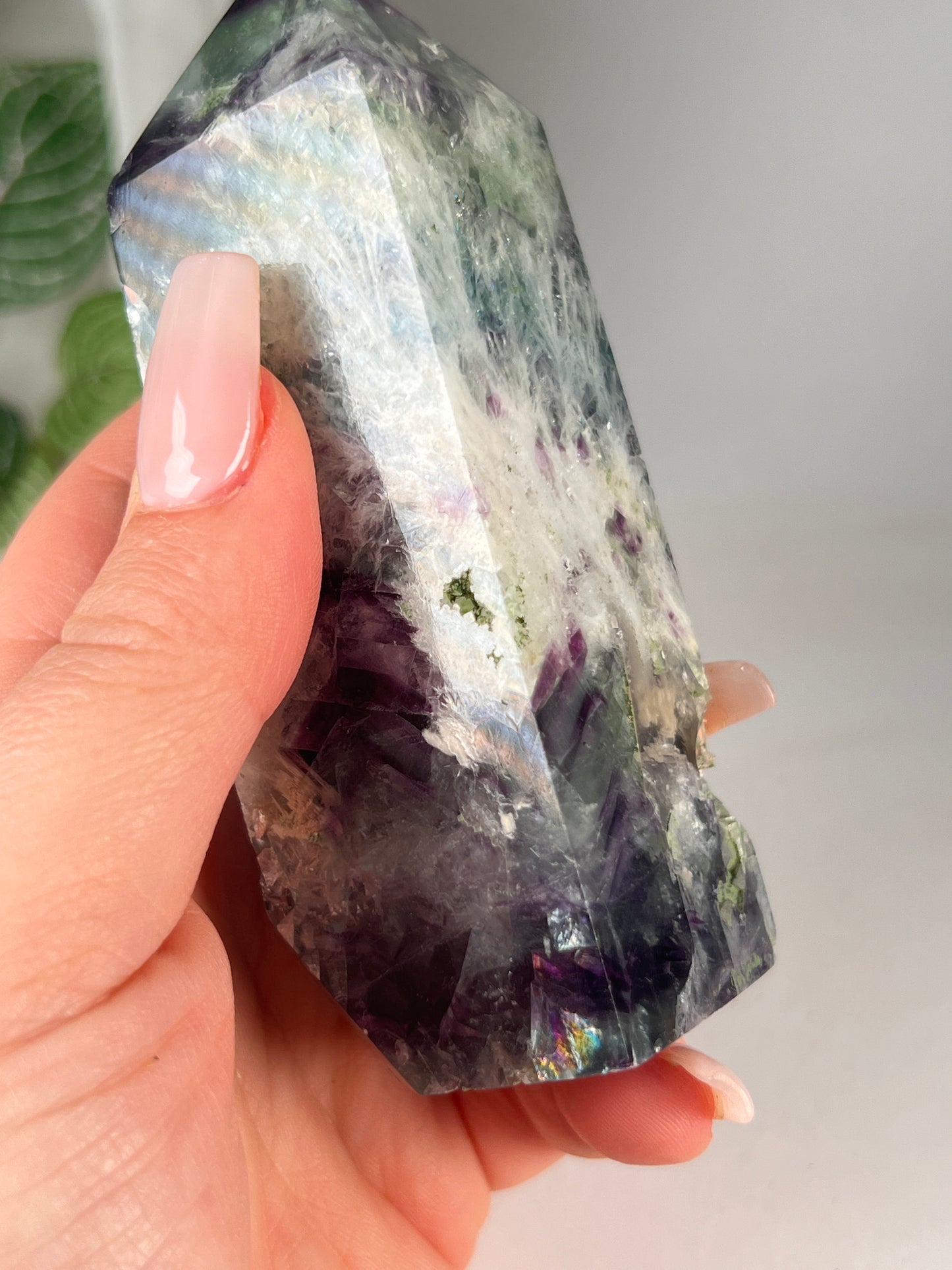Snow flake fluorite 4.25" *RARE*