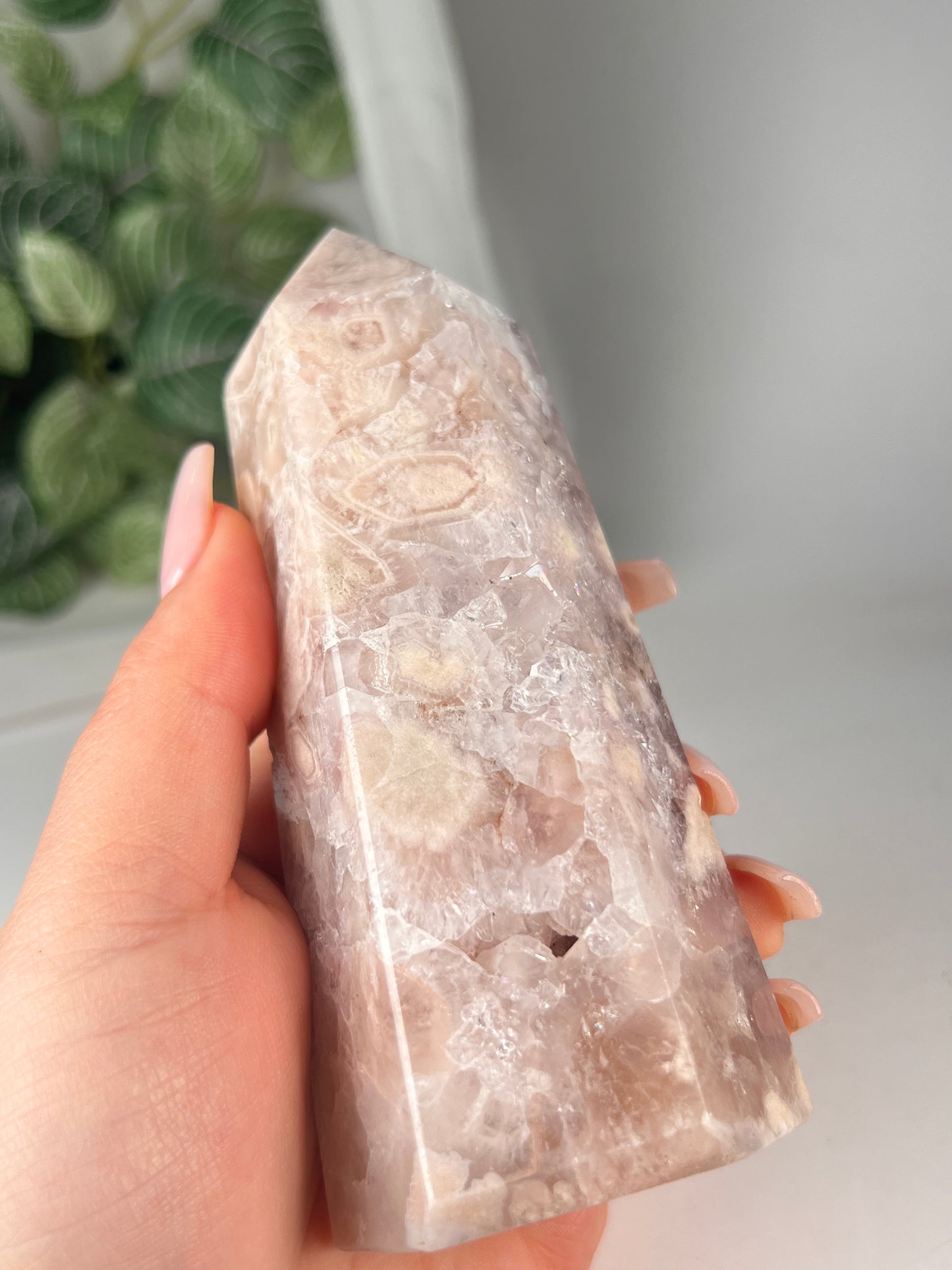 Flower Agate Amethyst Point *RARE*