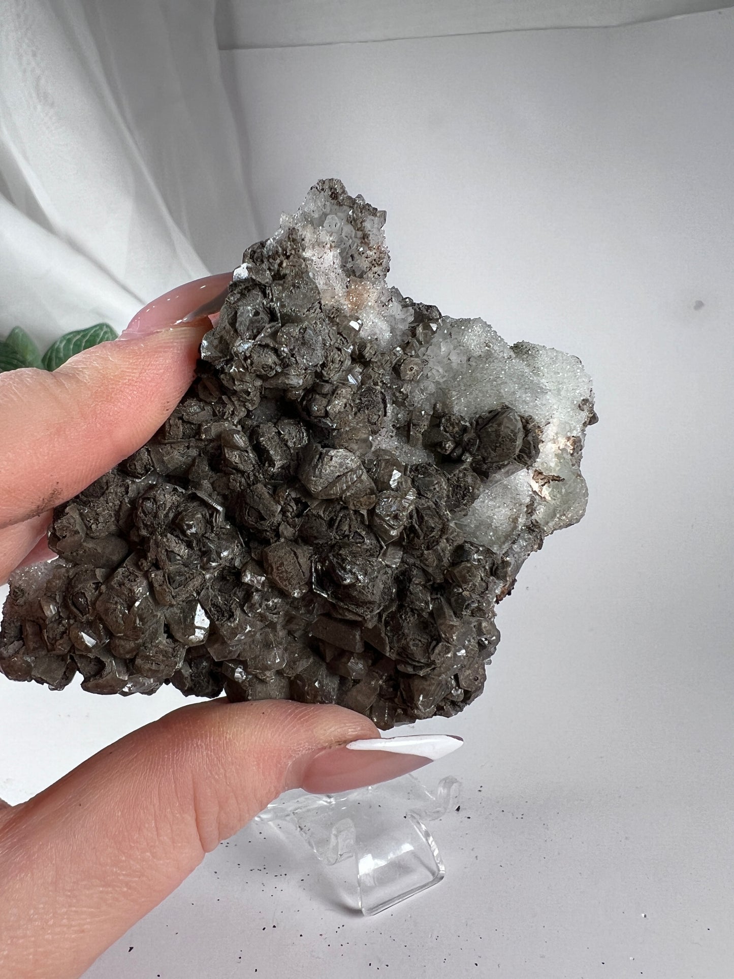 Black Quartz with Fluorite Cluster *RARE*