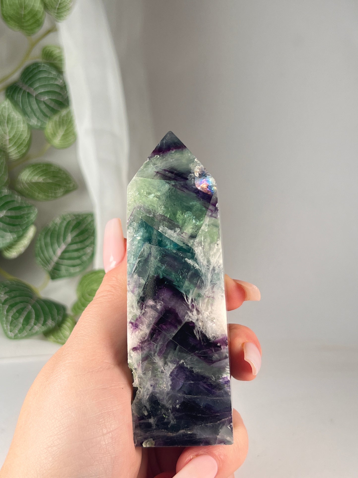 Snow flake fluorite 4.25" *RARE*