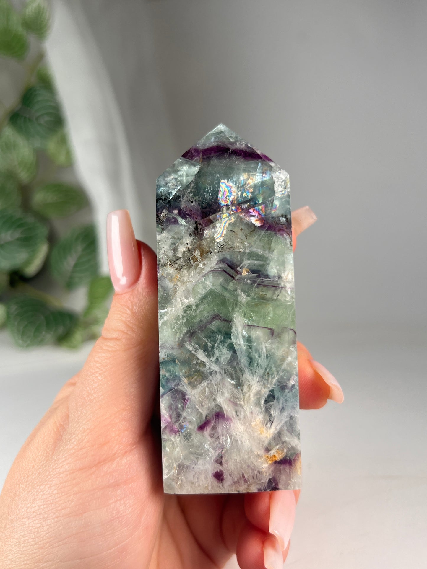 Snow flake fluorite 3.75" *RARE*