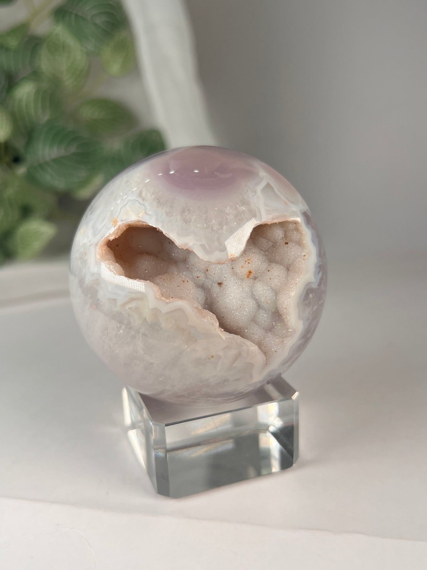 Black flower agate sphere druzy *RARE*