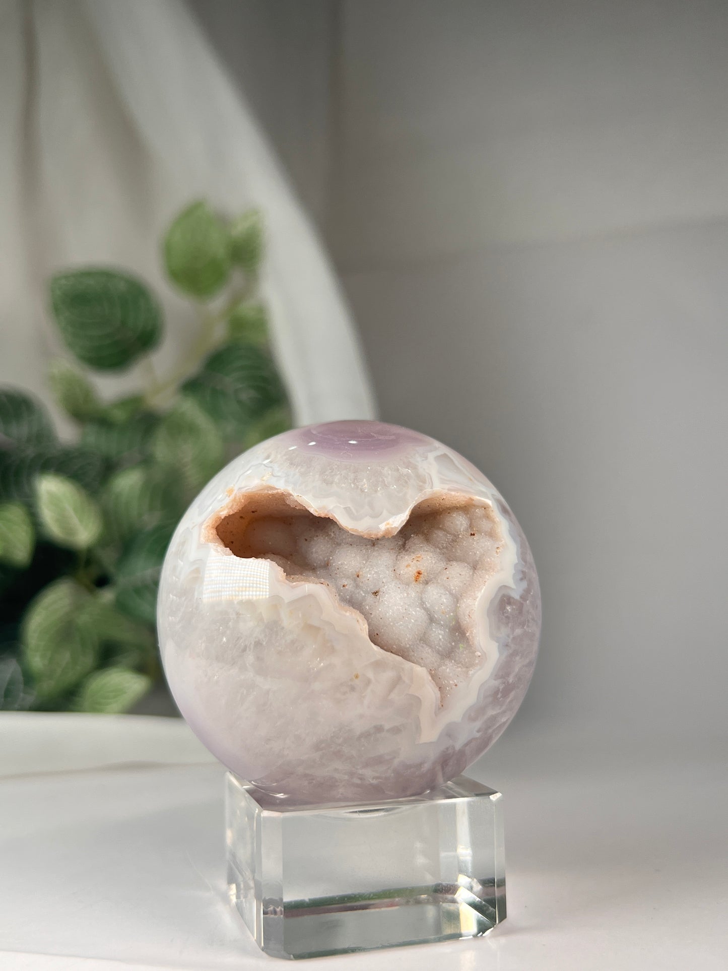 Black flower agate sphere druzy *RARE*