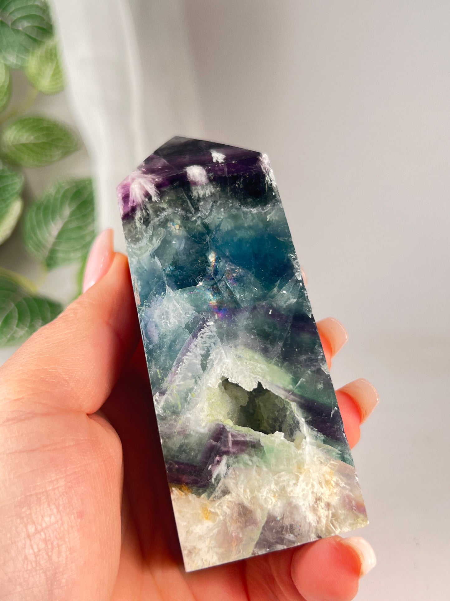 Snow flake fluorite 4' *RARE*