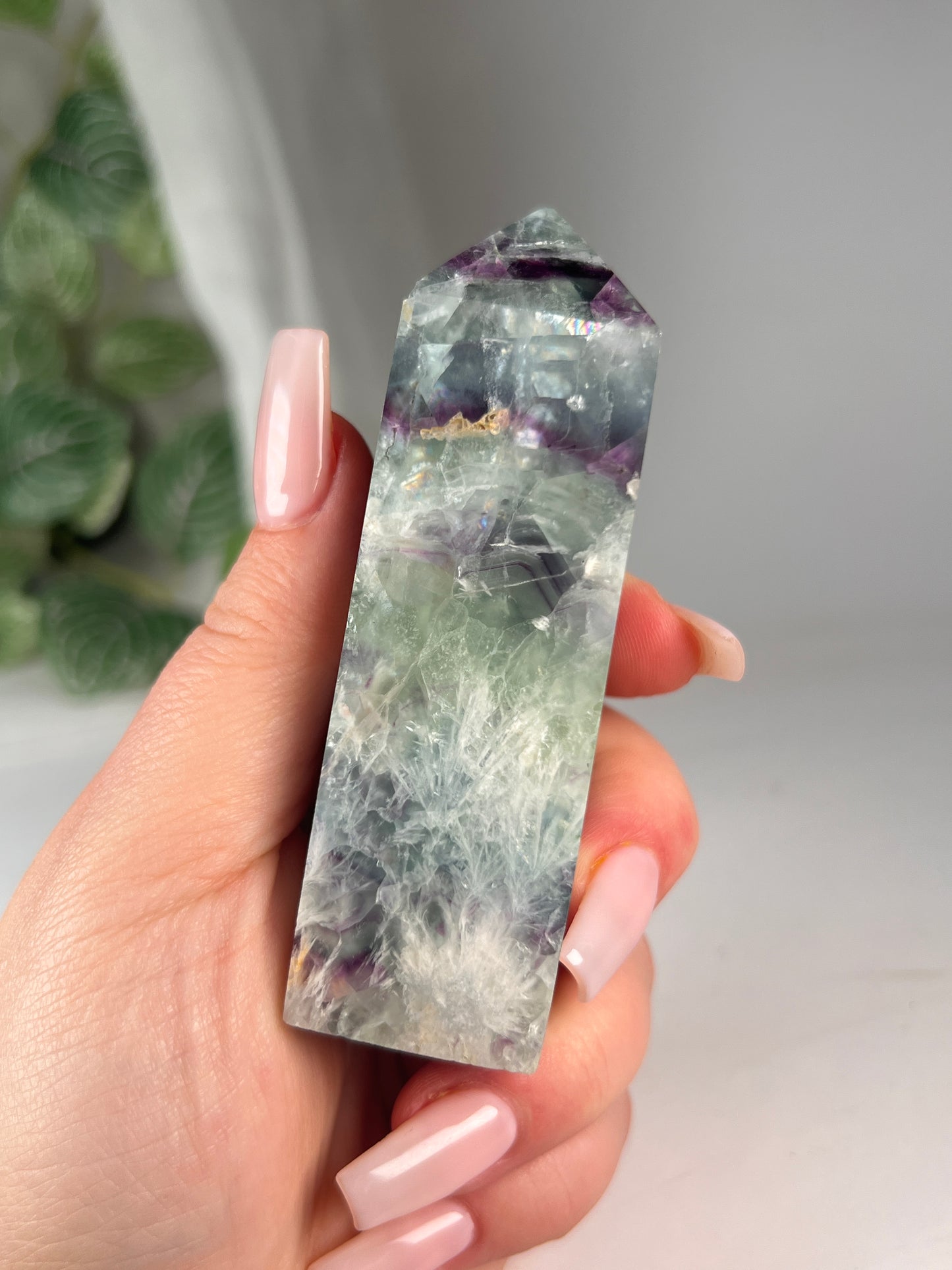 Snow flake fluorite 3.75" *RARE*
