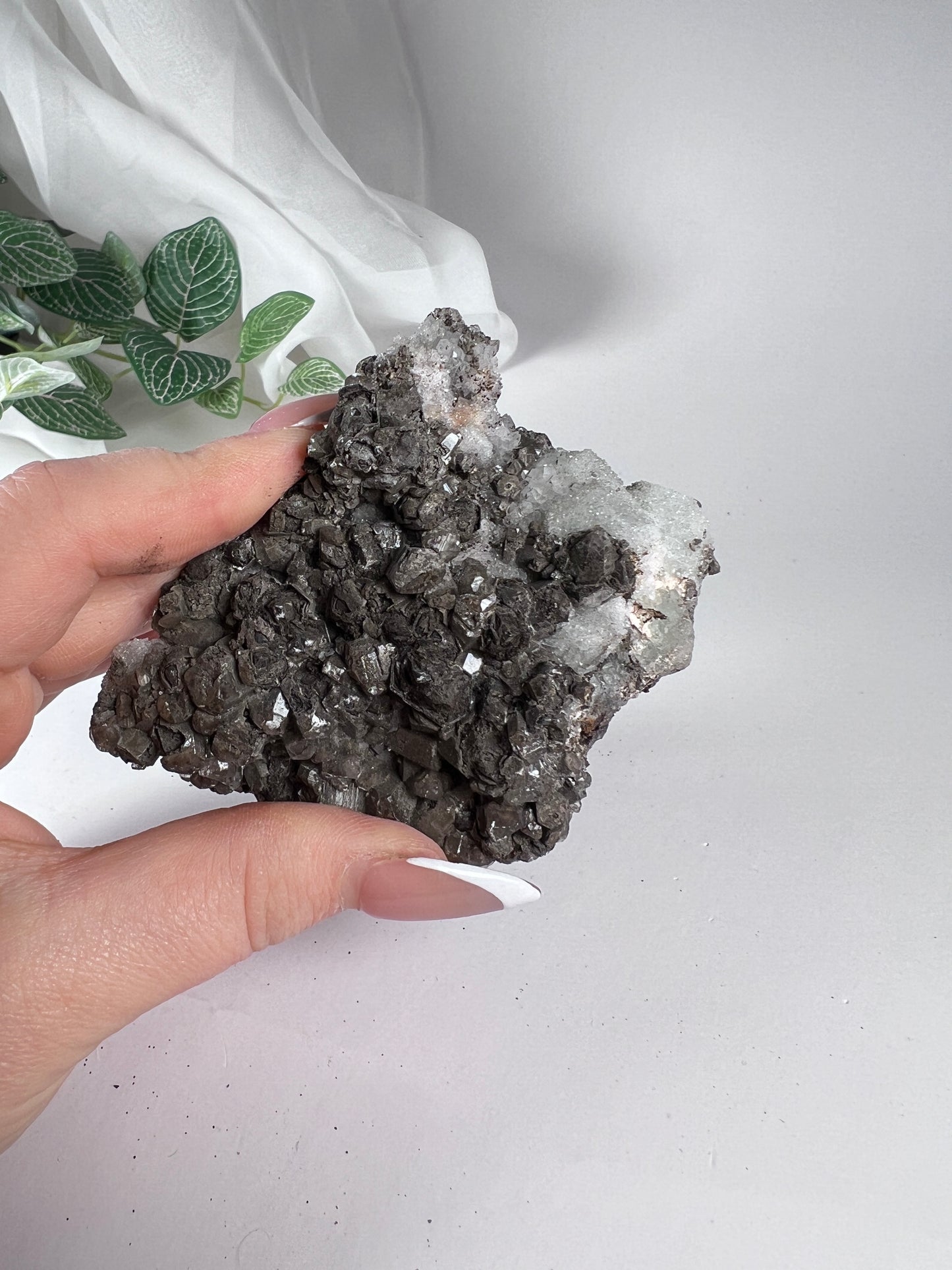 Black Quartz with Fluorite Cluster *RARE*