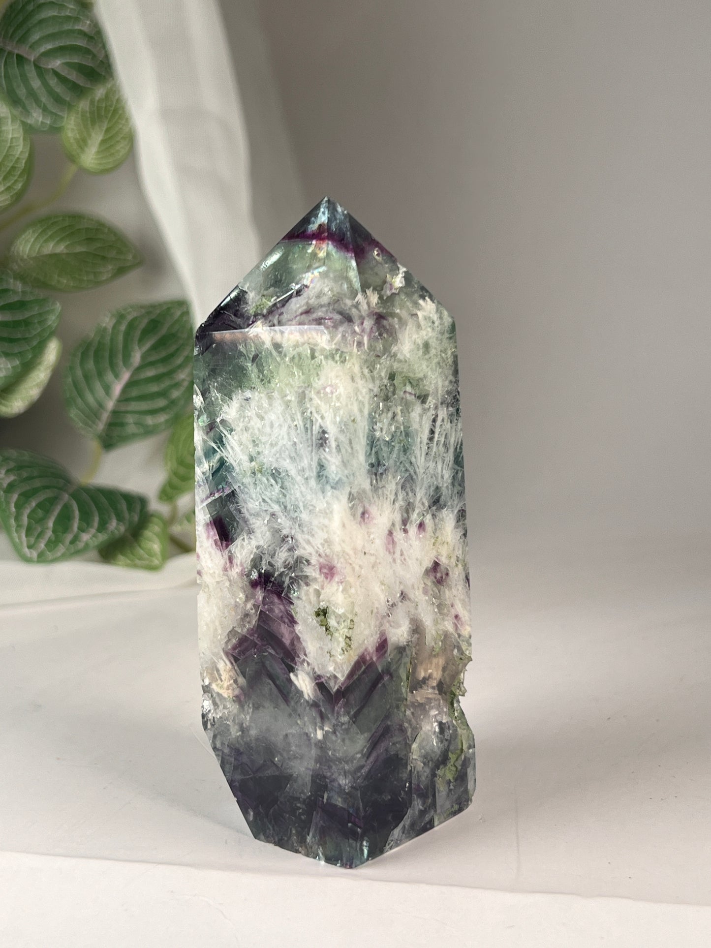 Snow flake fluorite 4.25" *RARE*