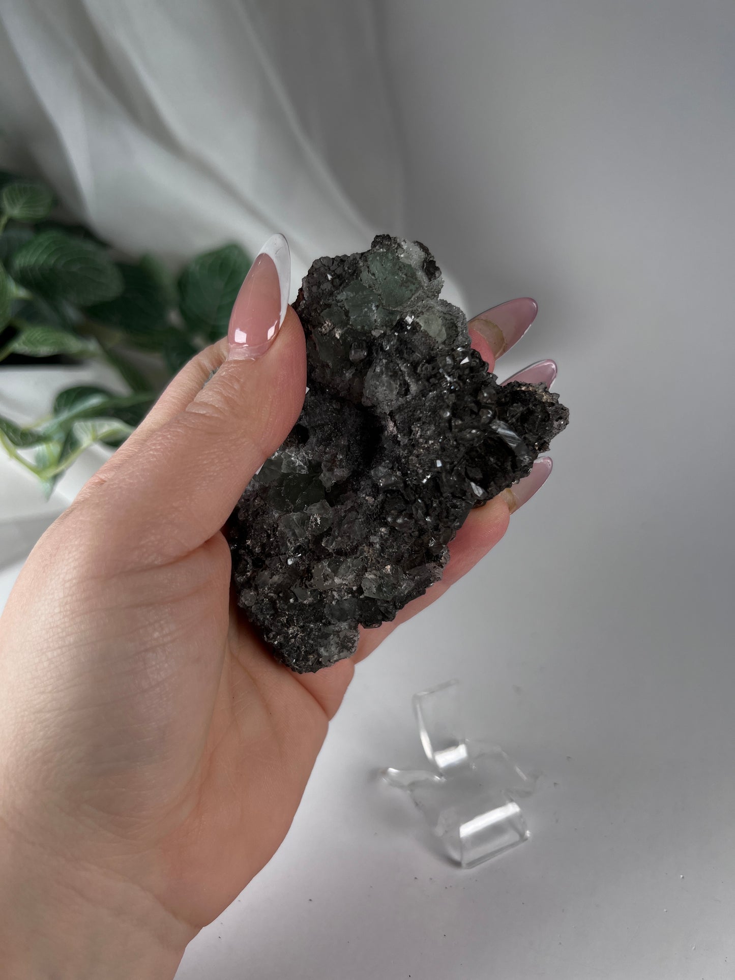 Black Quartz with Fluorite Cluster *RARE*