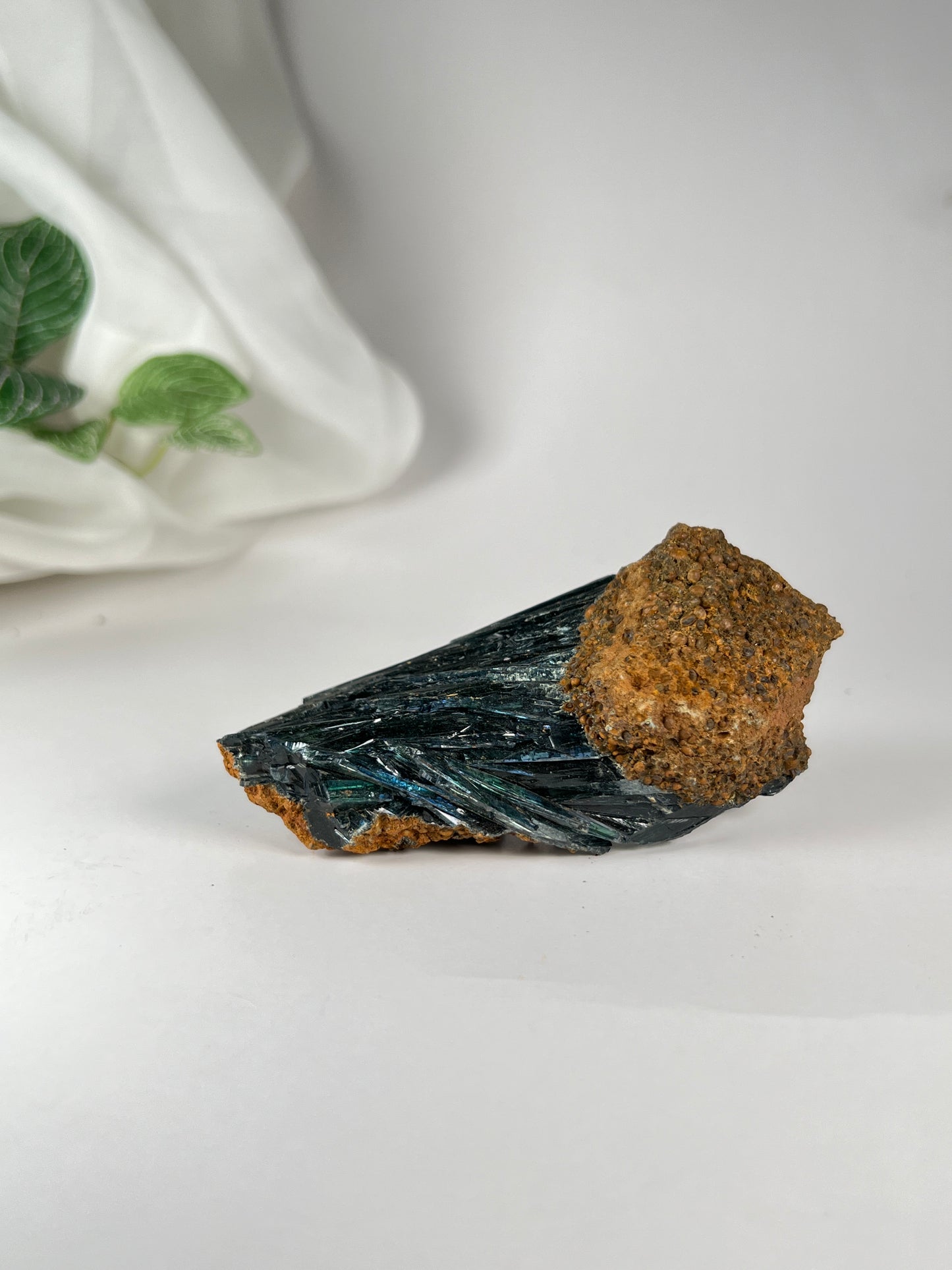 Vivianite Cluster *RARE*