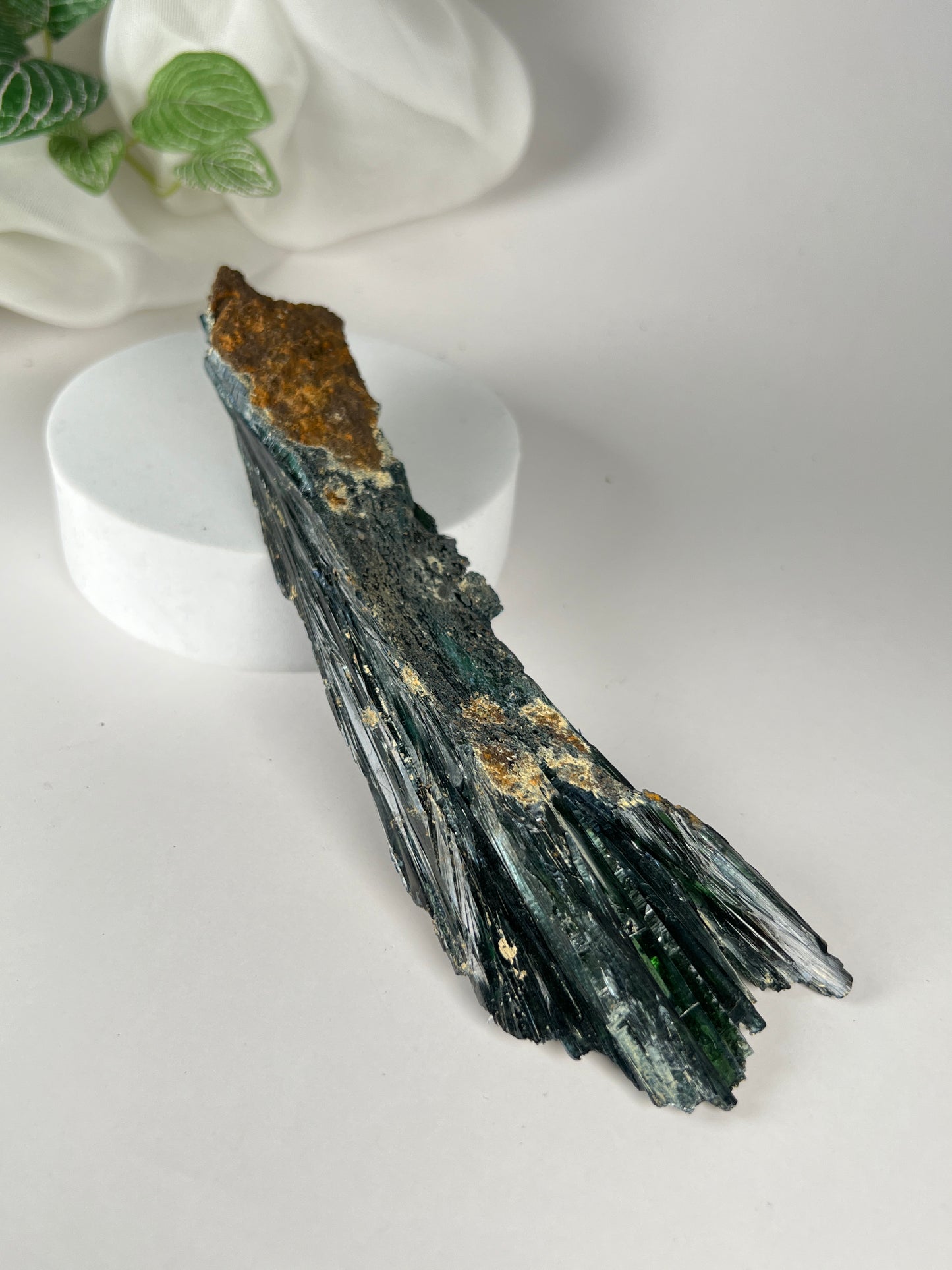Vivianite Cluster *RARE*