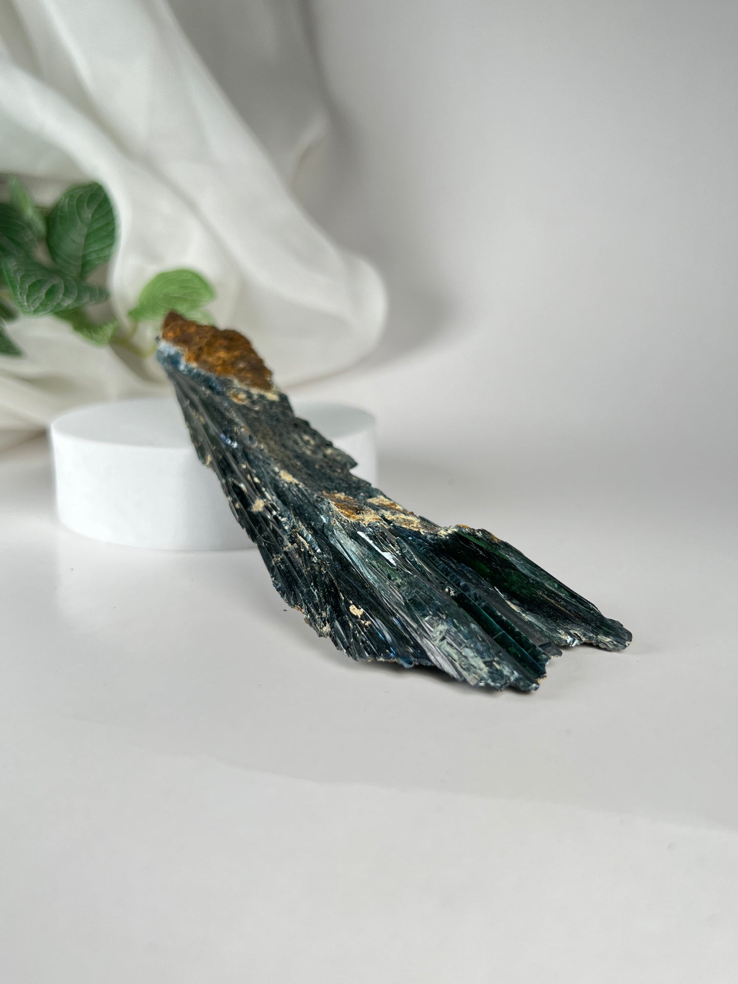 Vivianite Cluster *RARE*