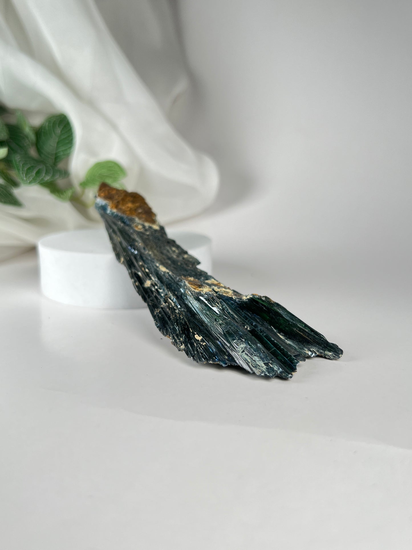 Vivianite Cluster *RARE*