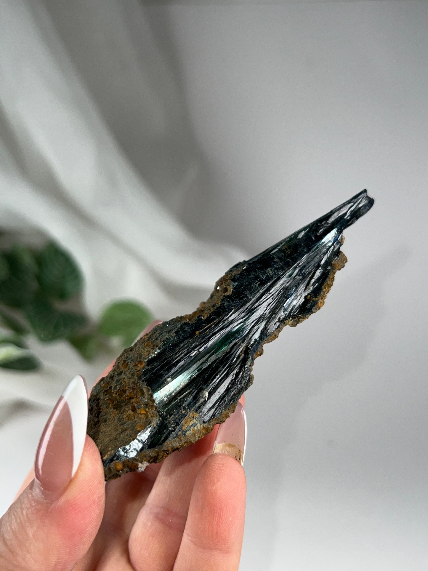 Vivianite Cluster *RARE*