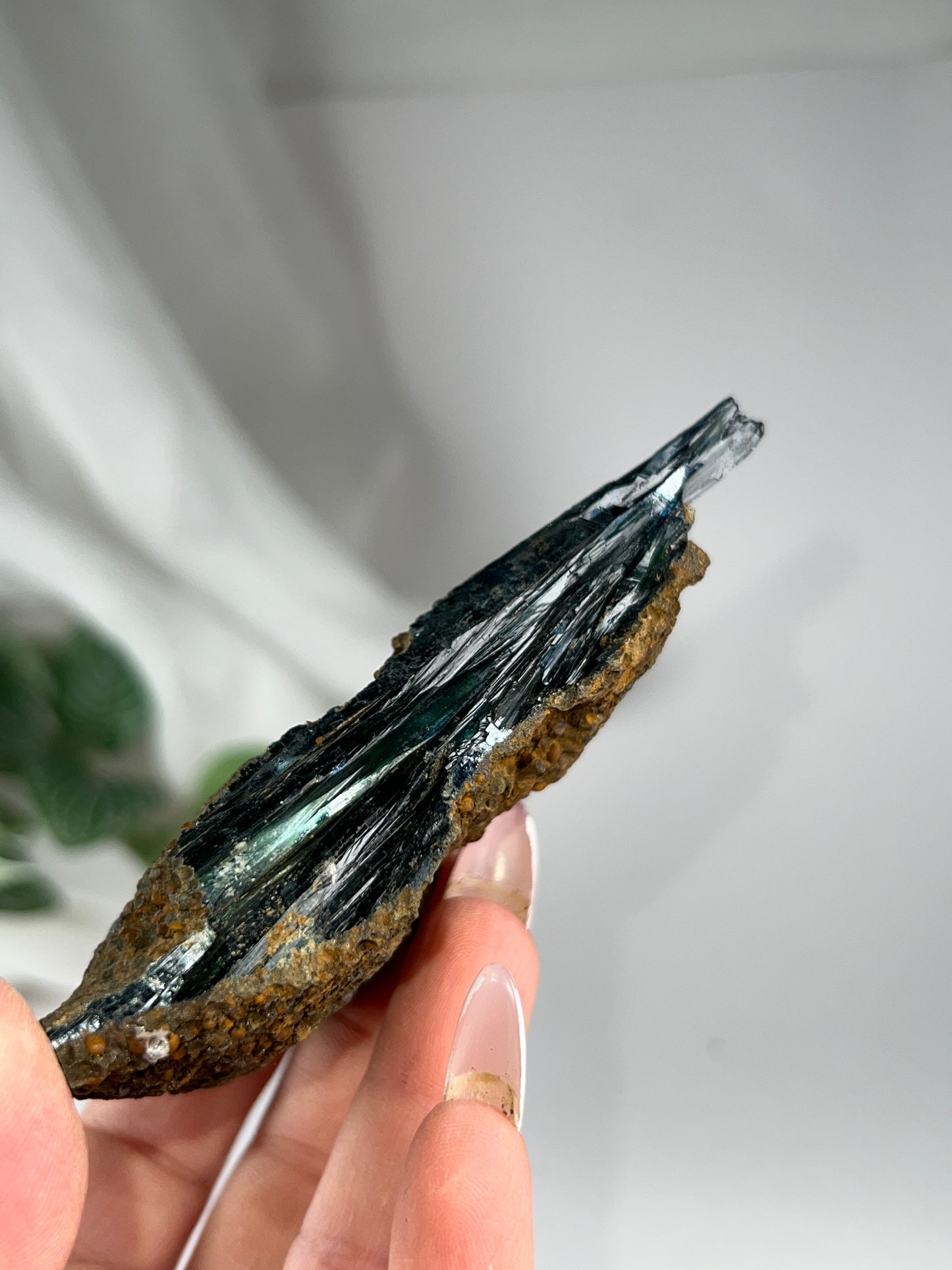 Vivianite Cluster *RARE*