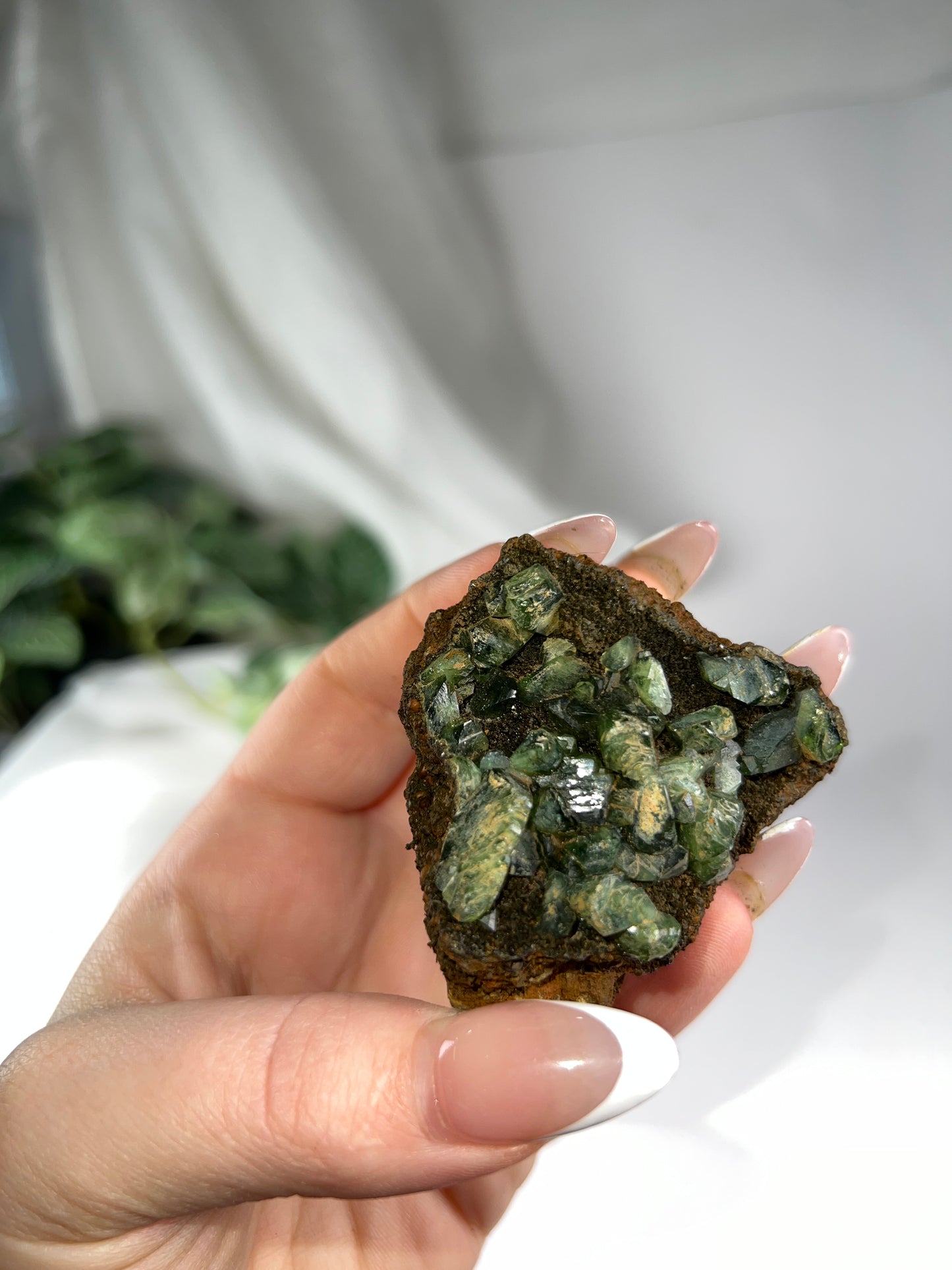 Vivianite Cluster *RARE*
