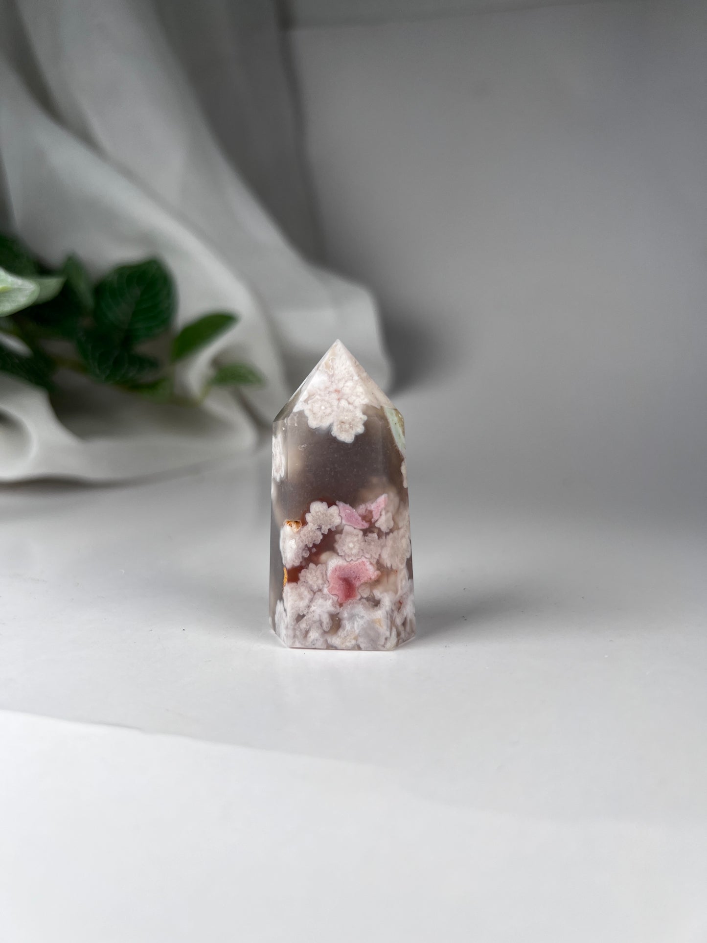 Cherry Blossom Flower Agate Point