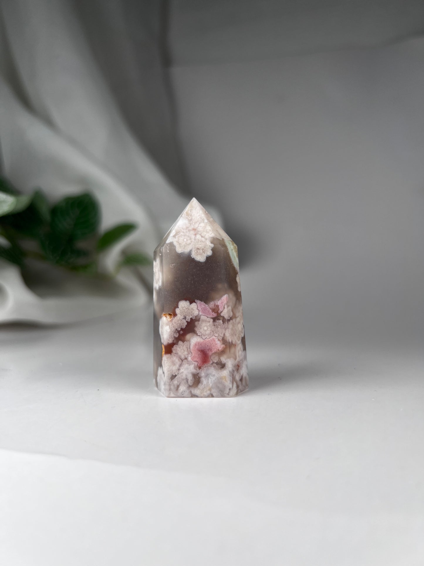 Cherry Blossom Flower Agate Point