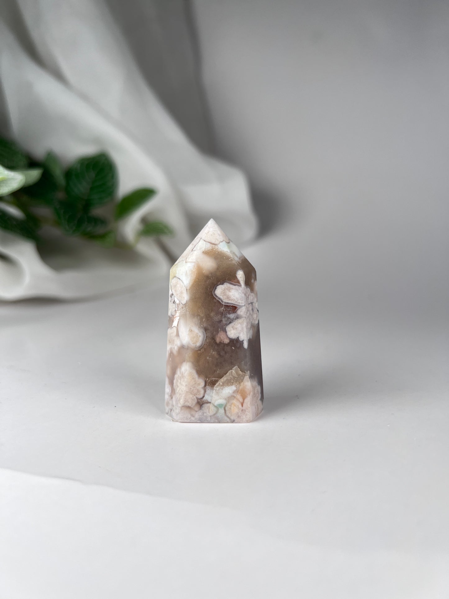 Cherry Blossom Flower Agate Point