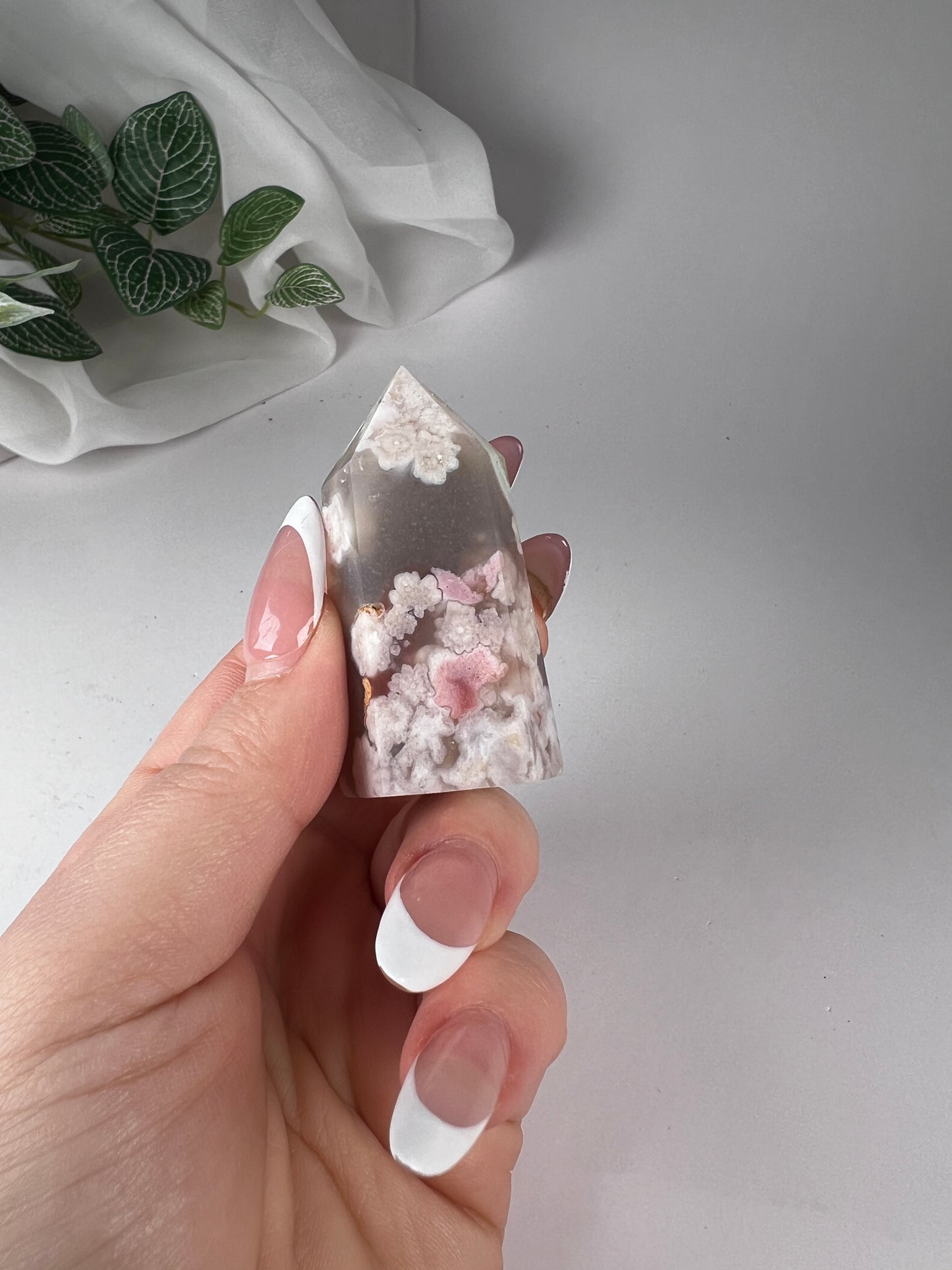Cherry Blossom Flower Agate Point