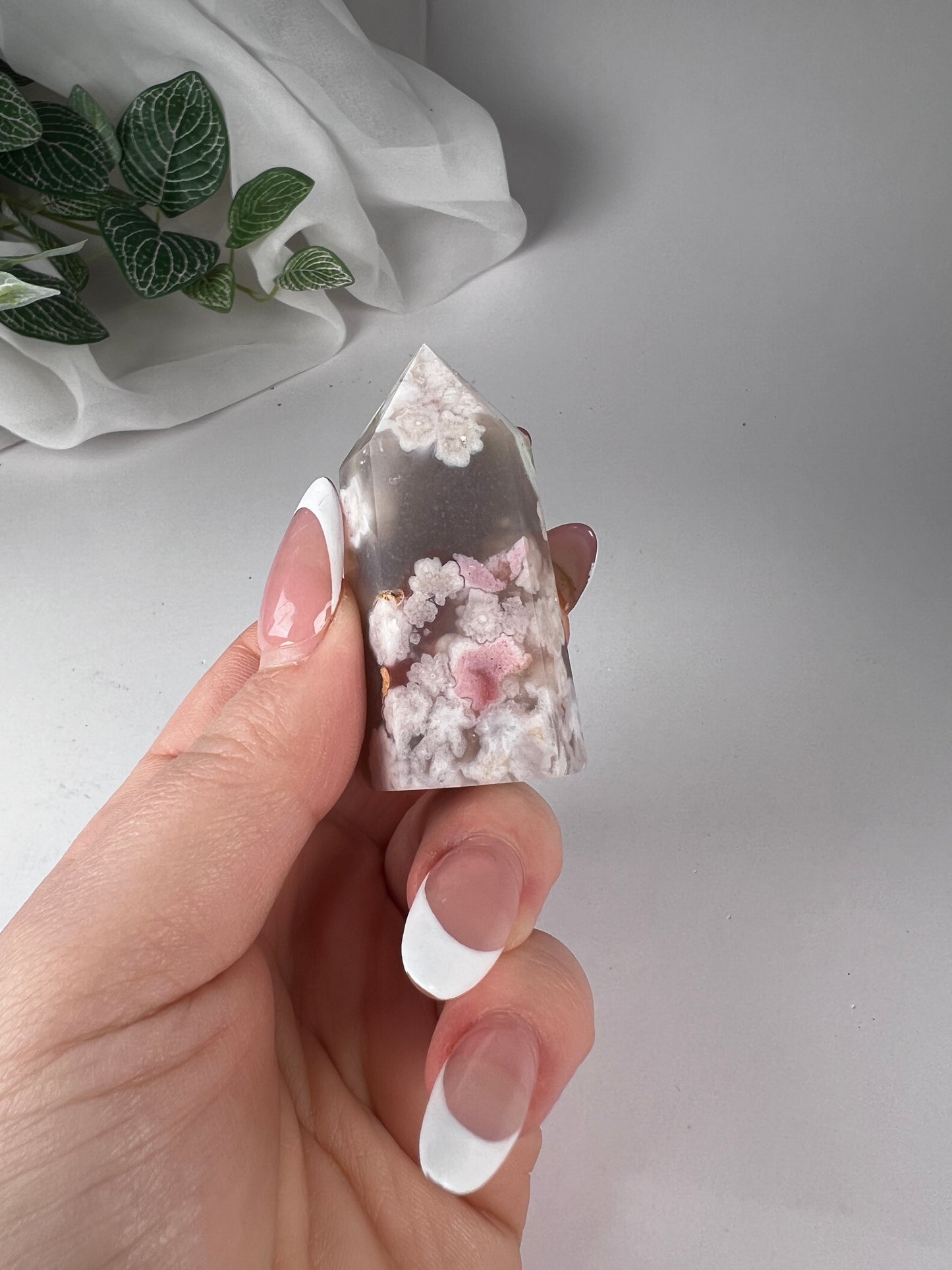Cherry Blossom Flower Agate Point