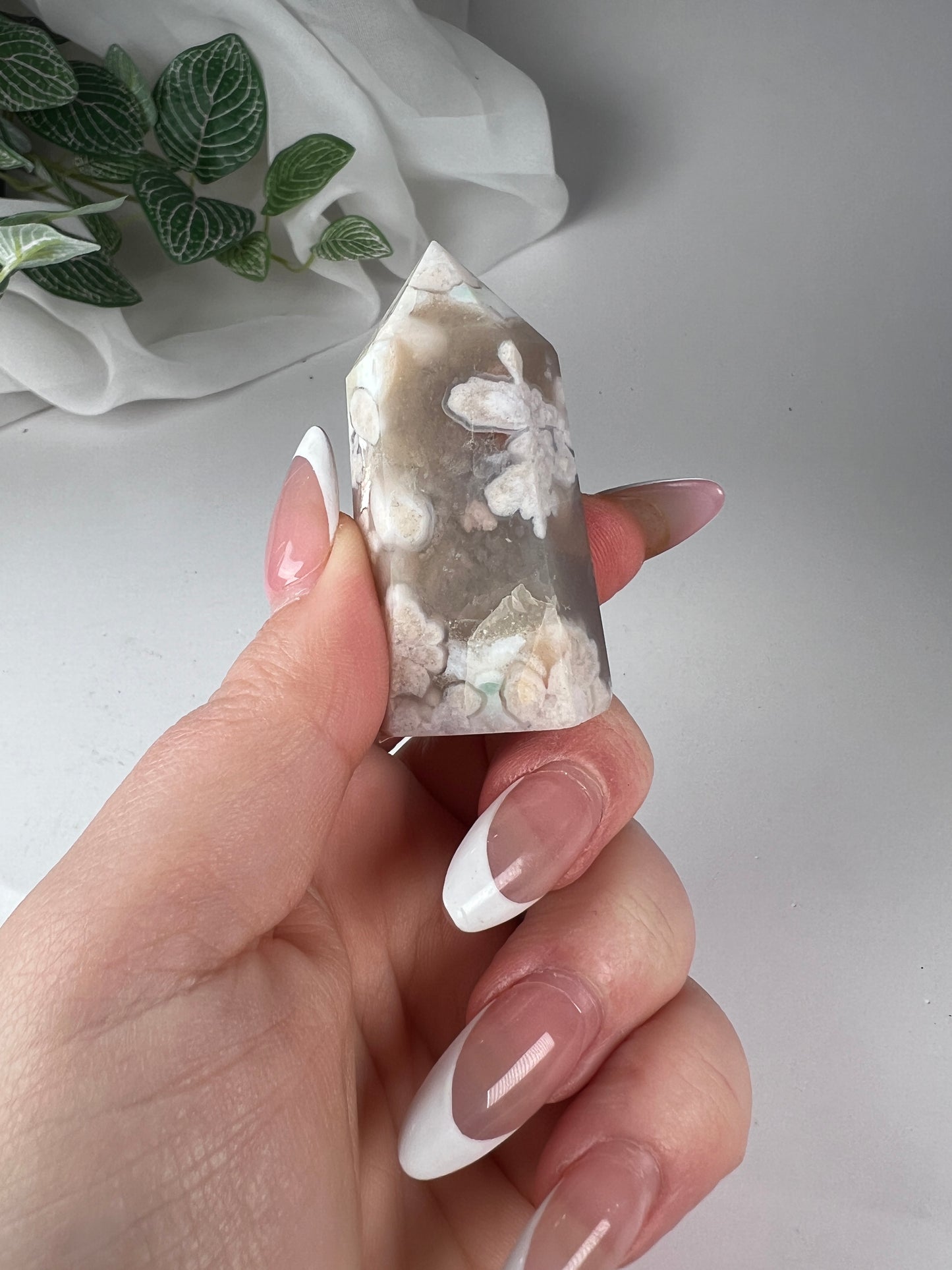 Cherry Blossom Flower Agate Point