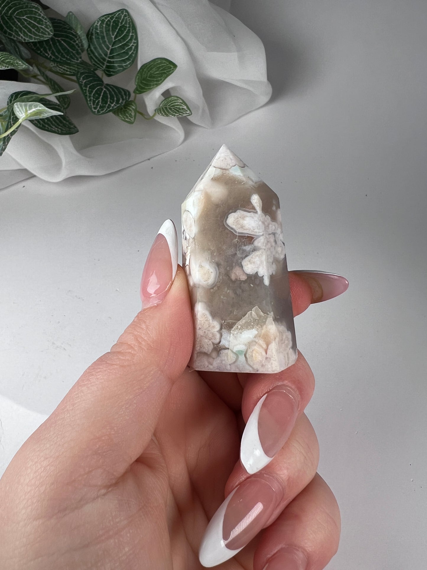 Cherry Blossom Flower Agate Point