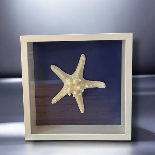Framed Starfish - Large