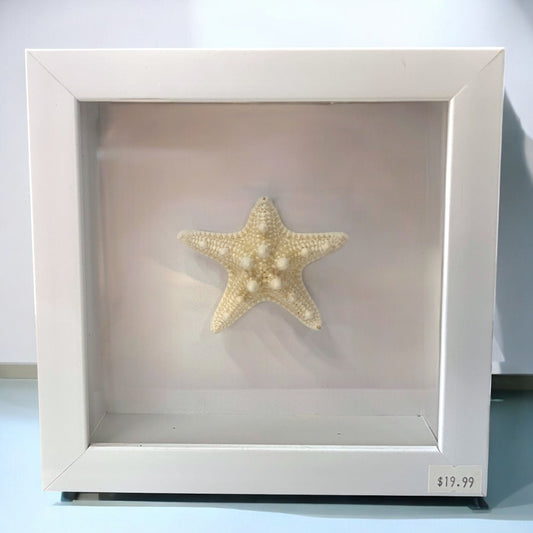 Framed Starfish - Small