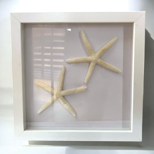 Framed Starfish - Medium